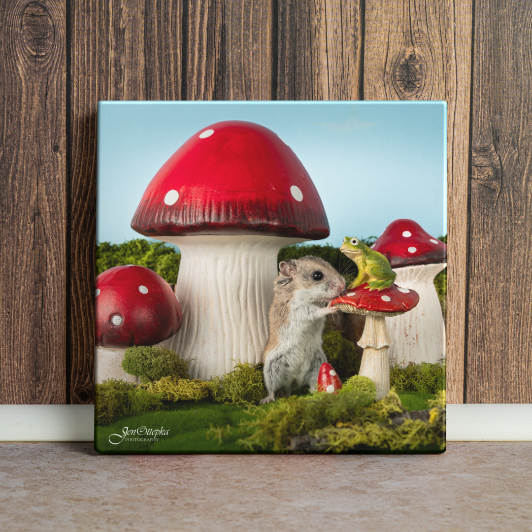 Princess Annie and the Frog