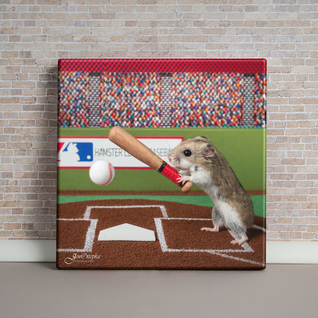 Hamster Baseball League