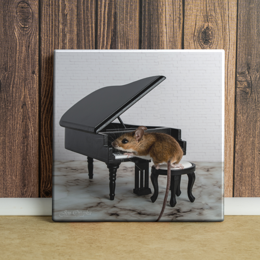 Squeaky Sonata