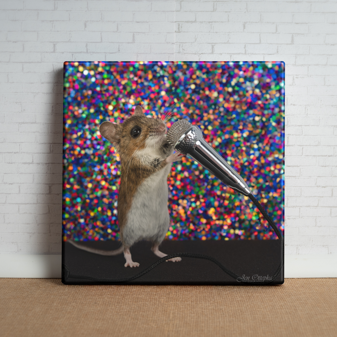 Squeaky Singing Voice