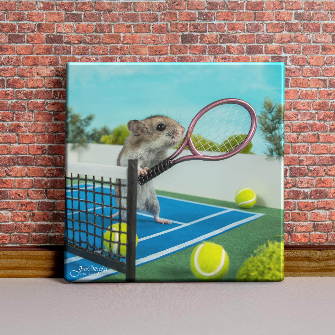 Tiny Tennis