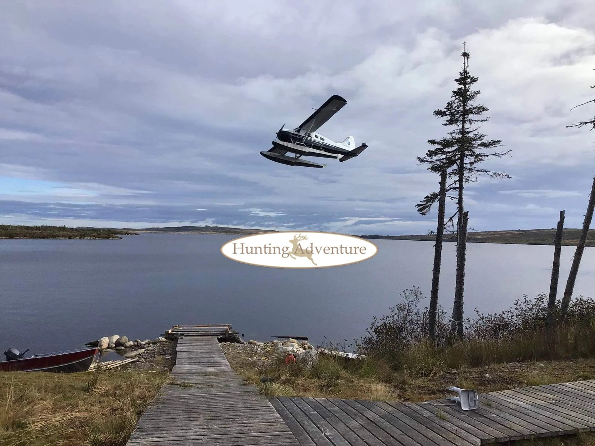 147.jpg