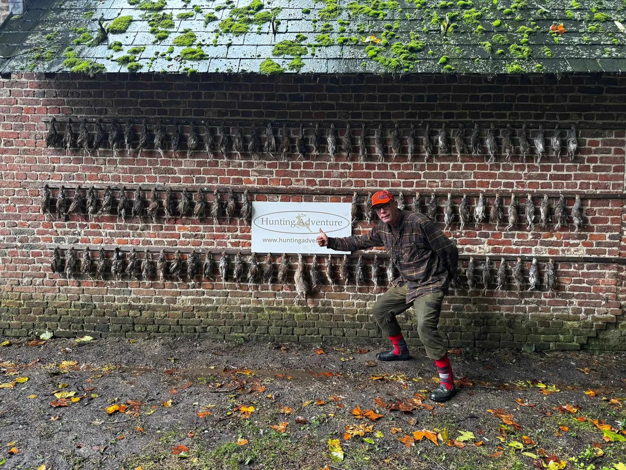 230.jpeg