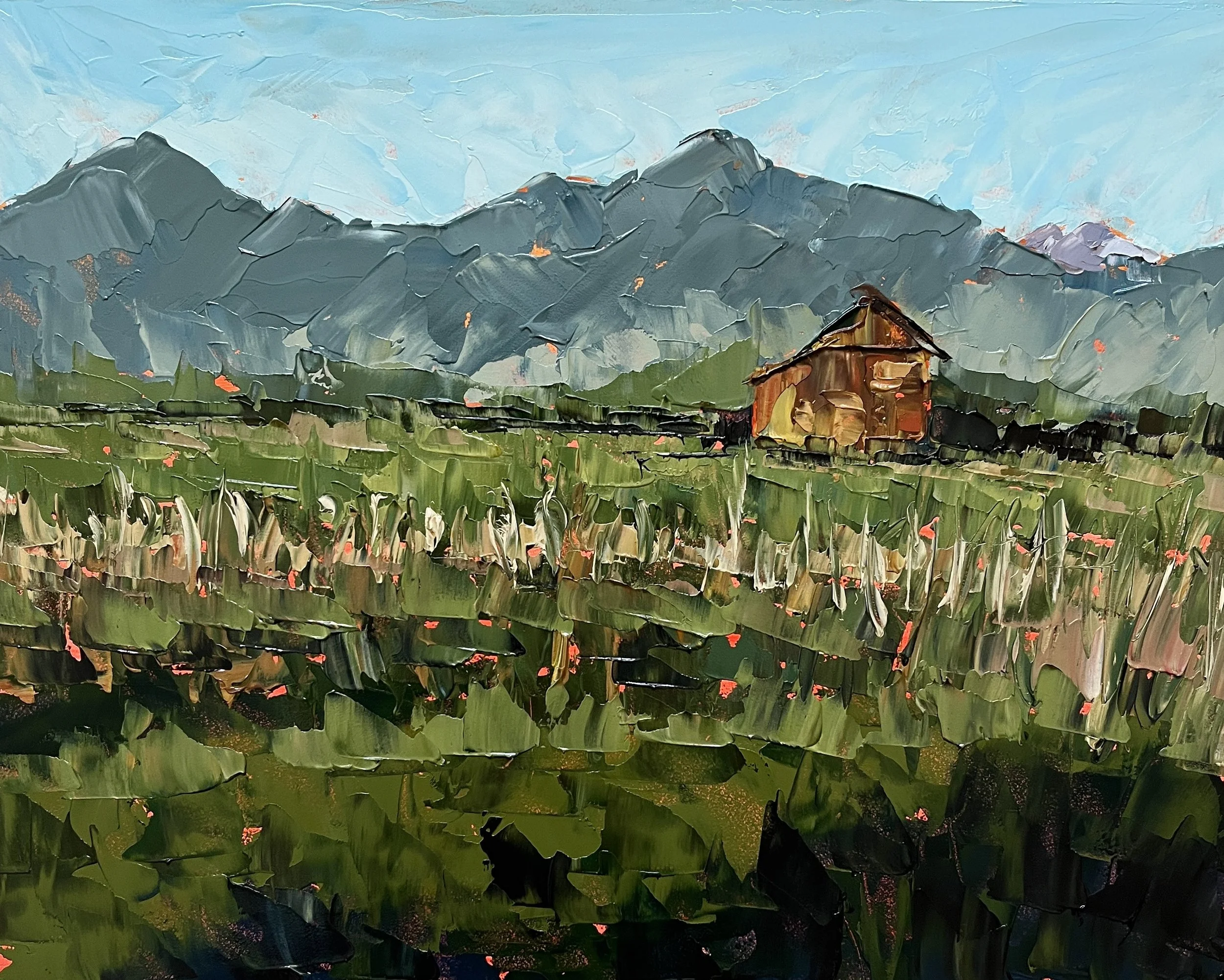 Barn in a meadow with mountains in the background