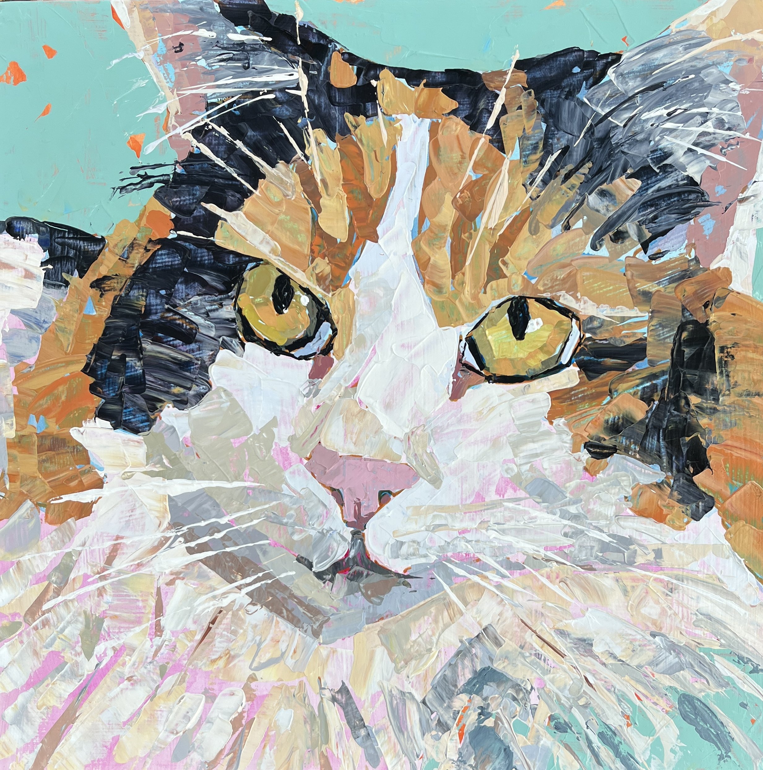 Cat portrait