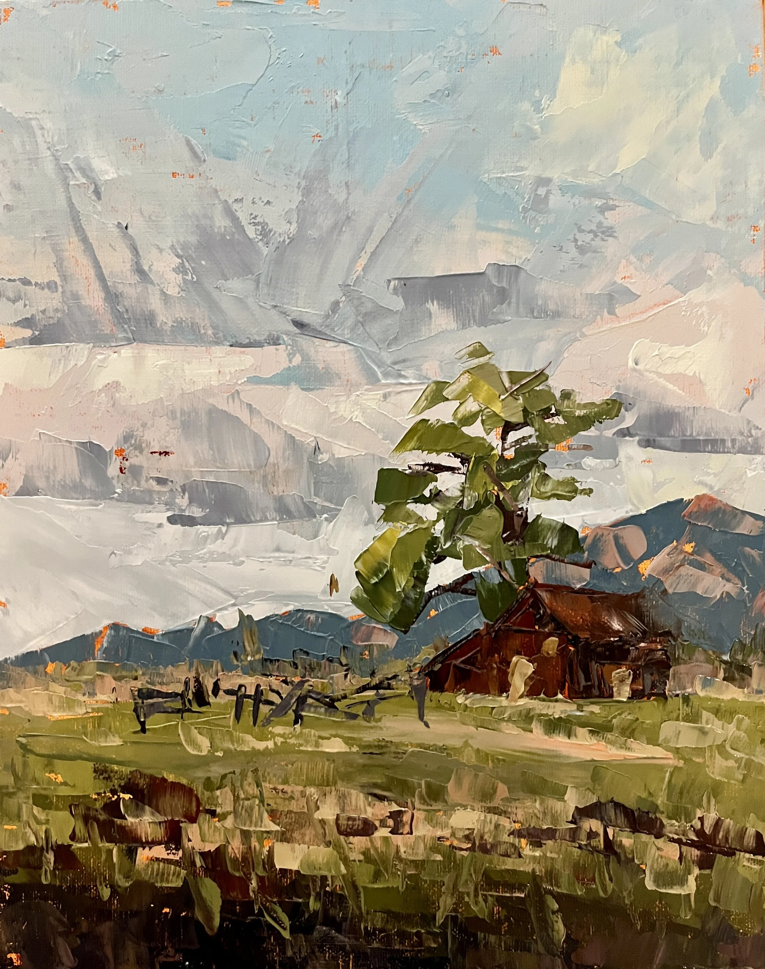 Barn with cottonwood tree and big sky