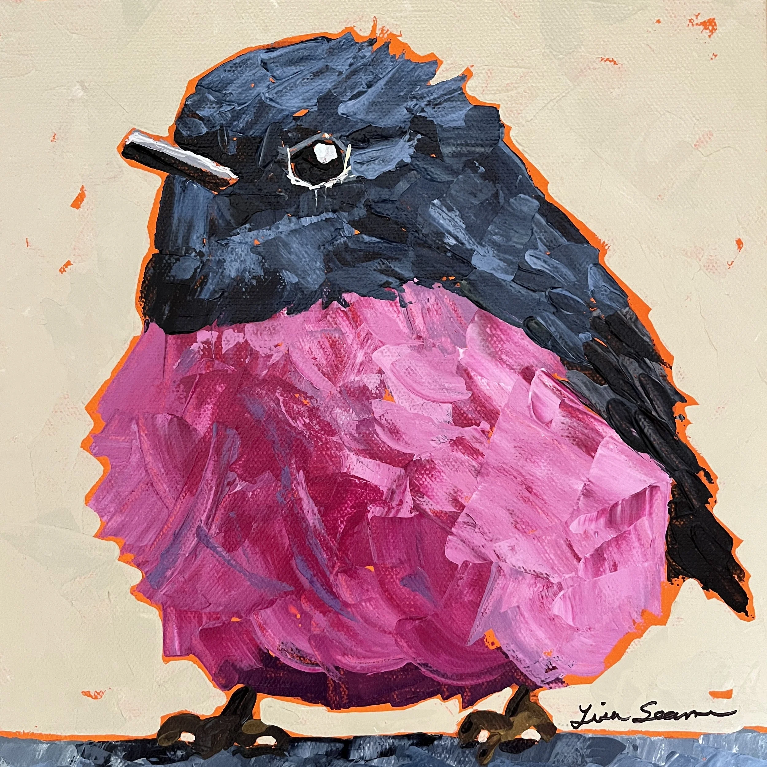 Pink robin bird