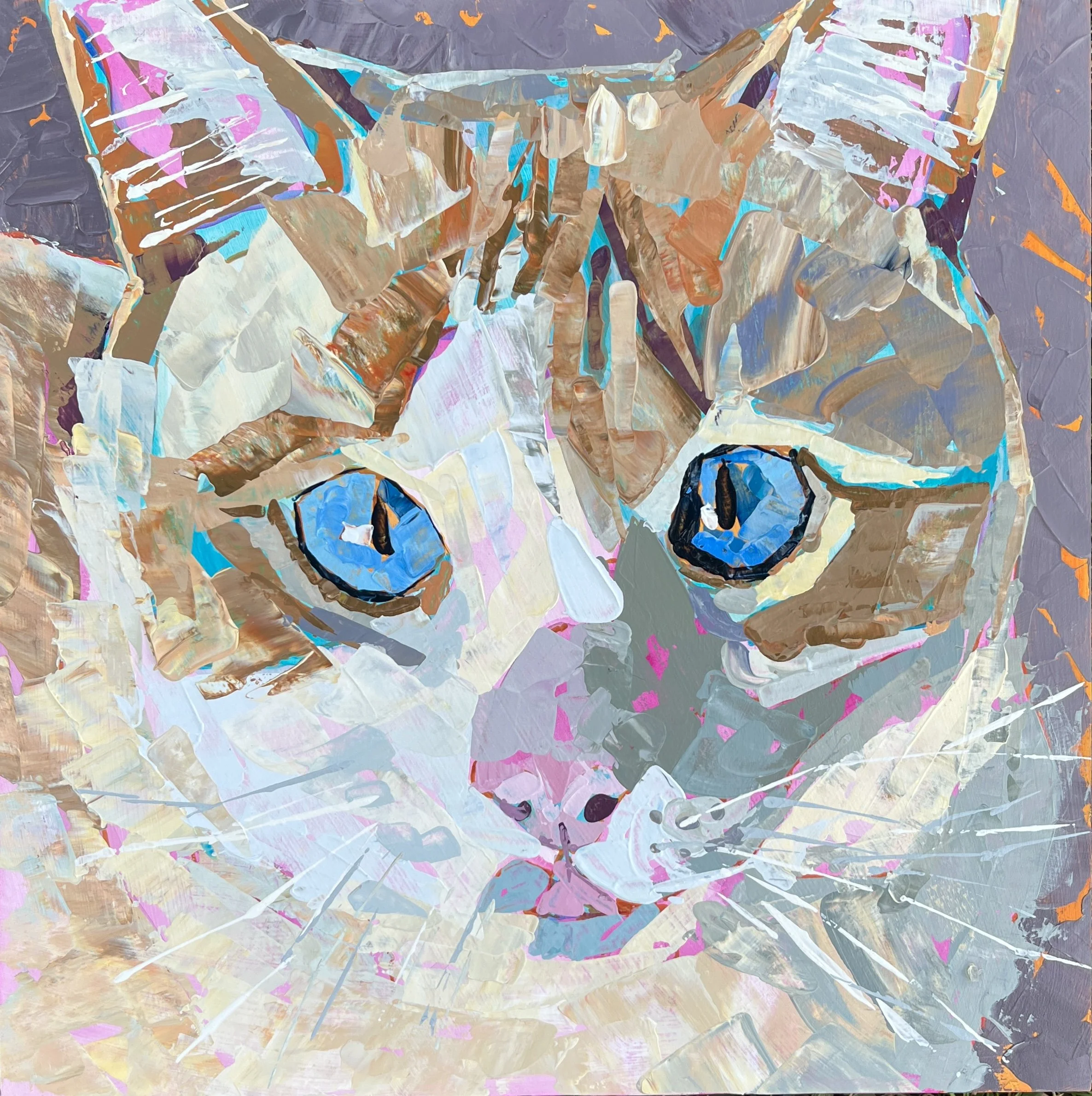 Cat portrait