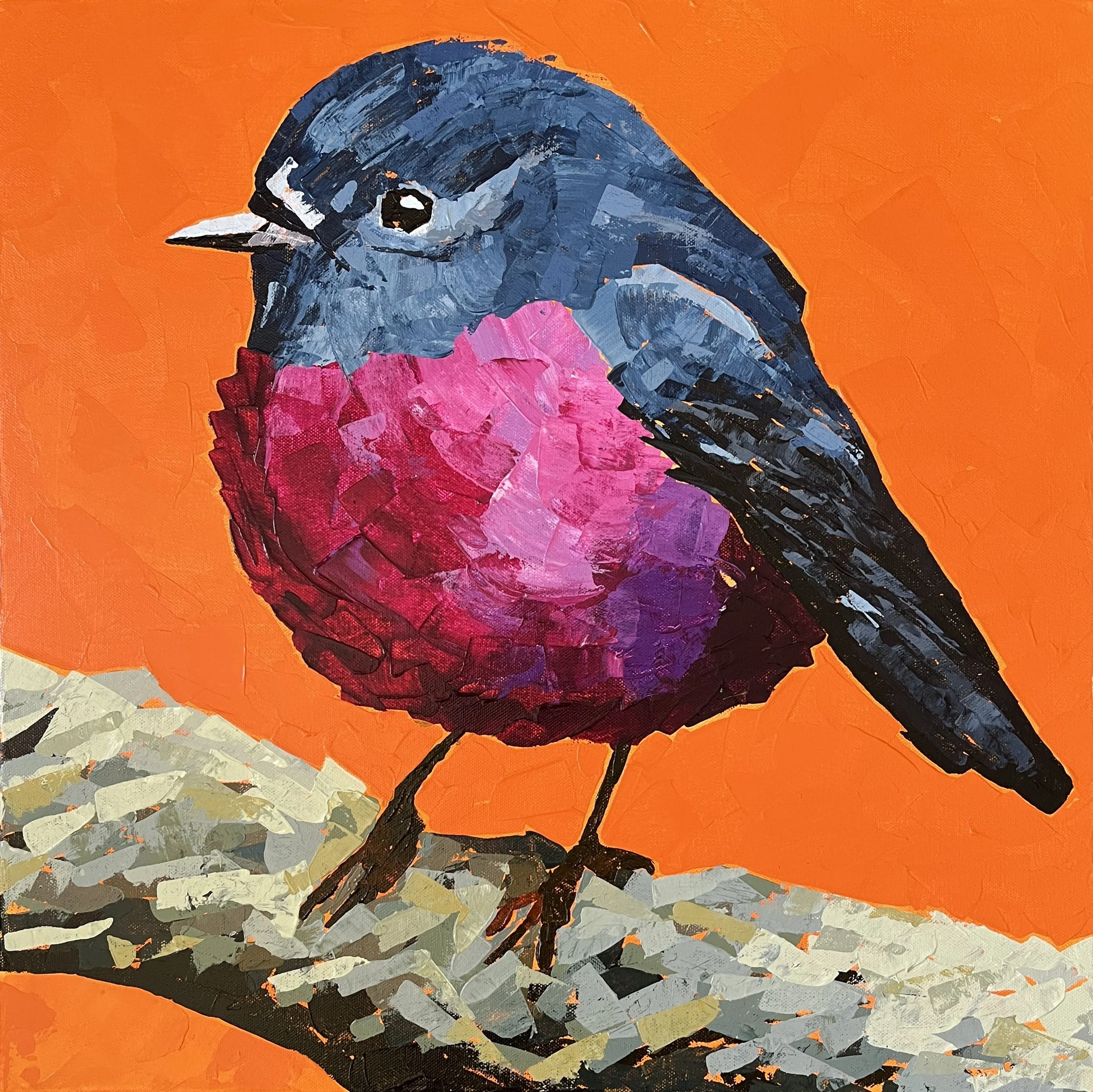 Pink chested bird on orange background