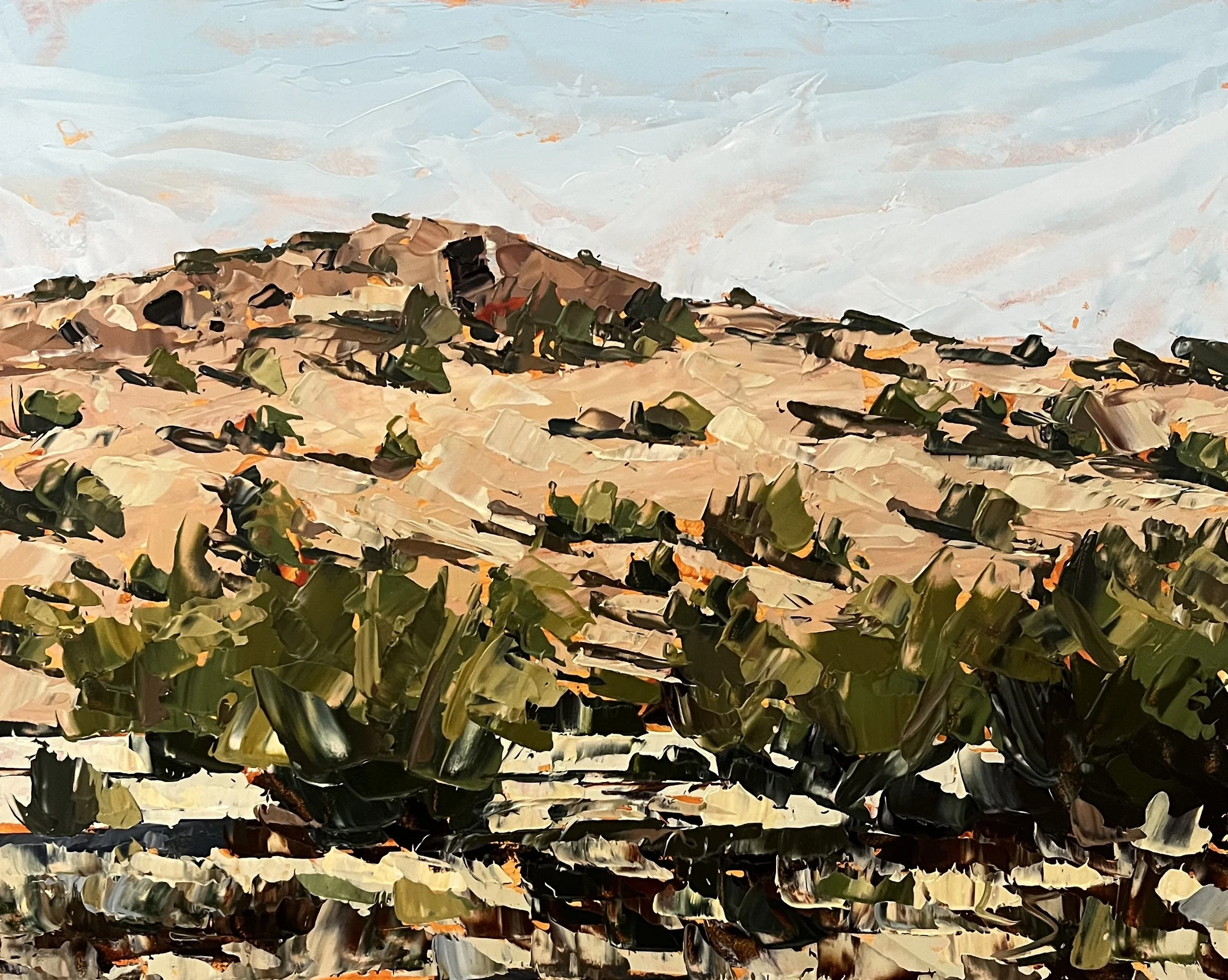 desert hill