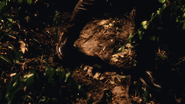 A snake with a dark, shiny body slithering through soil and leaves at night.