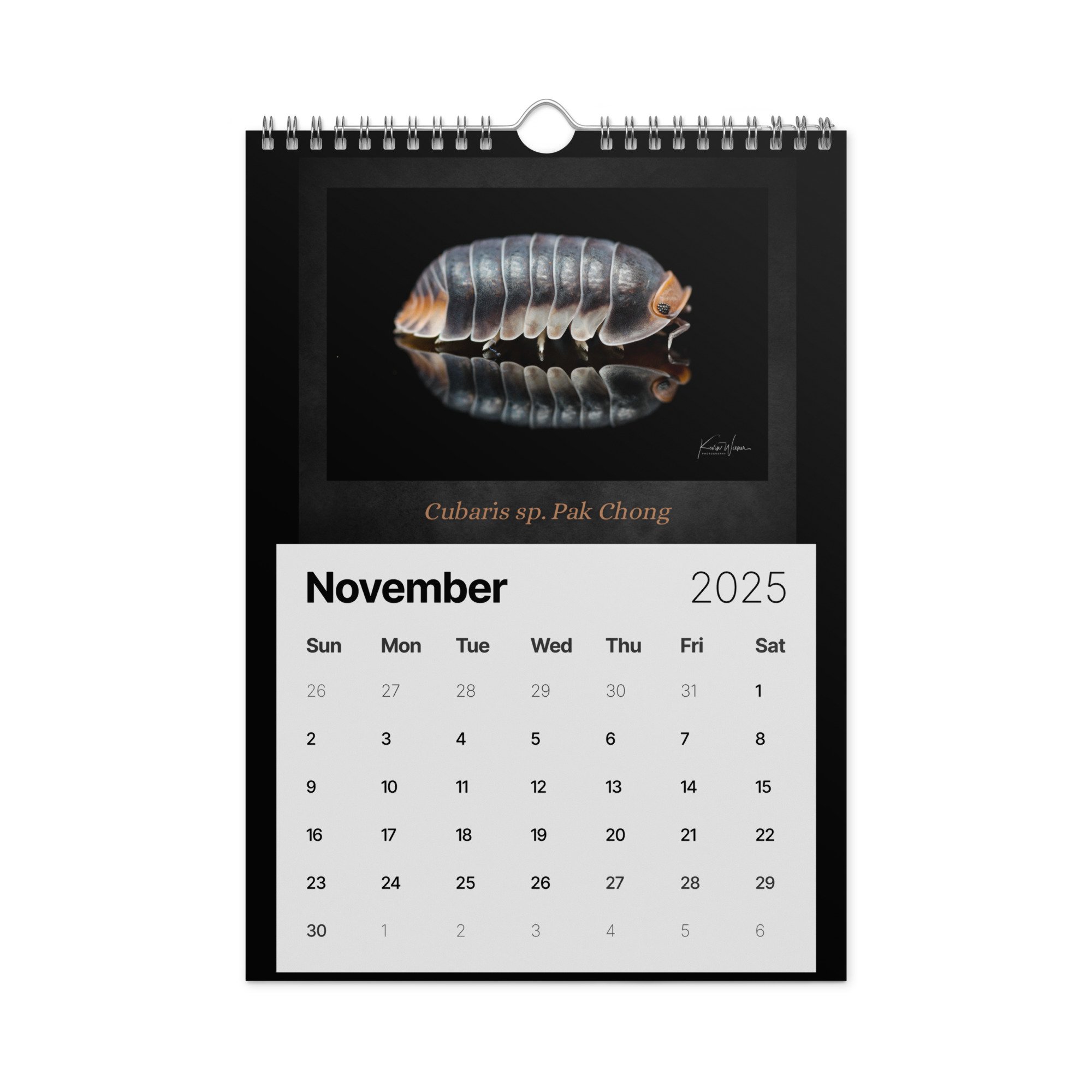 wall-calendar-(2025)-start-w-sun-8.26x11.69-front-672d015de21bc.jpg