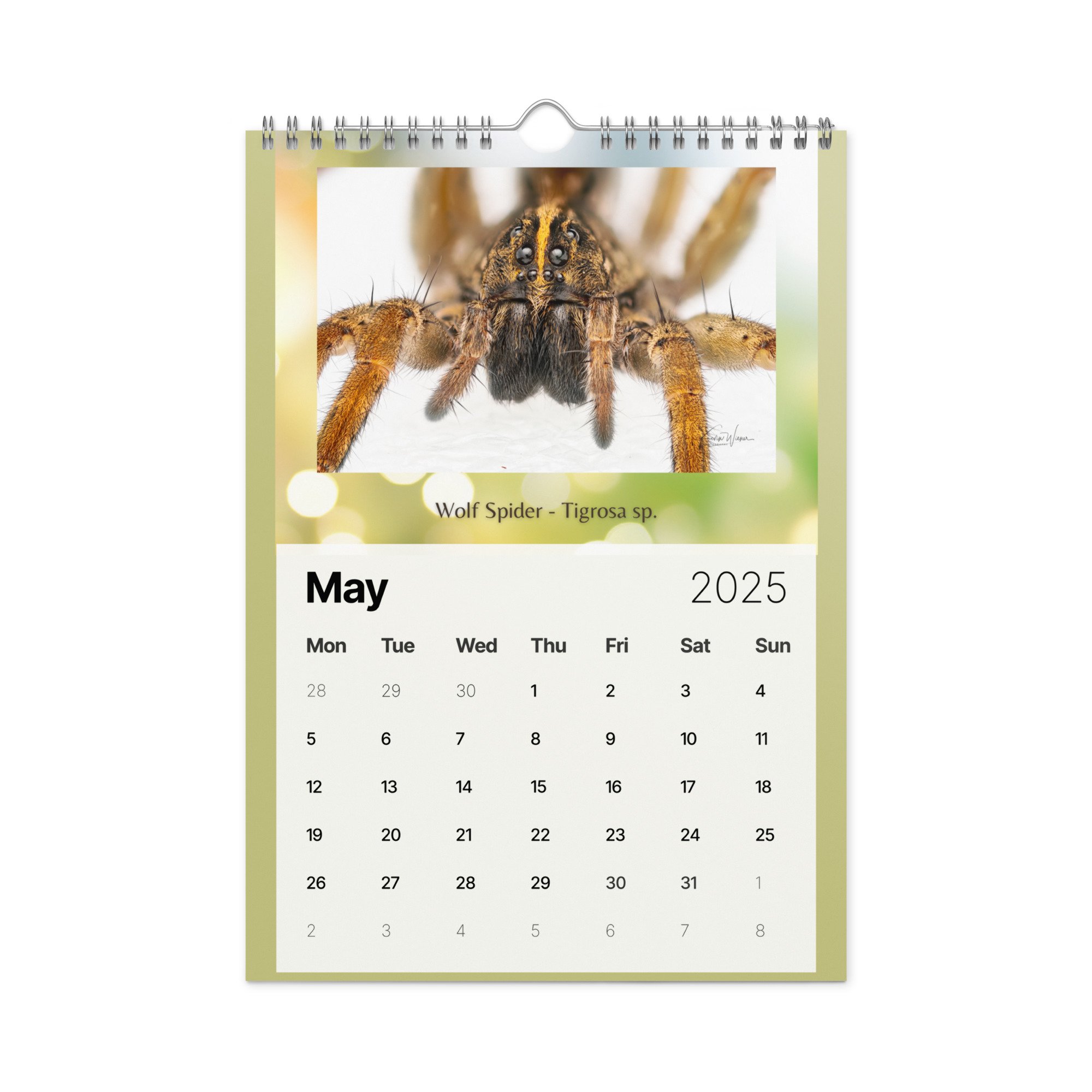 wall-calendar-(2025)-start-w-mon-8.26x11.69-front-6733673aeac8c.jpg