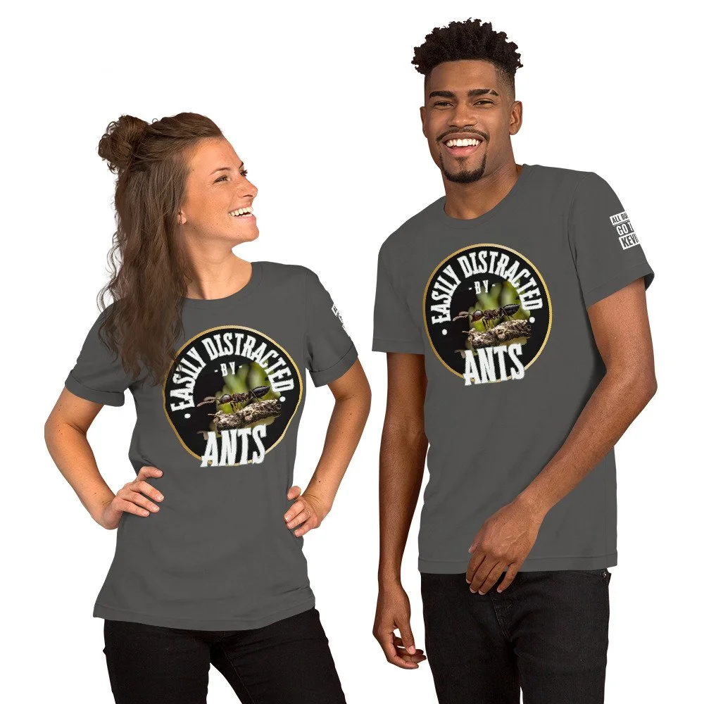 unisex-staple-t-shirt-asphalt-front-675c19d96a963.jpg