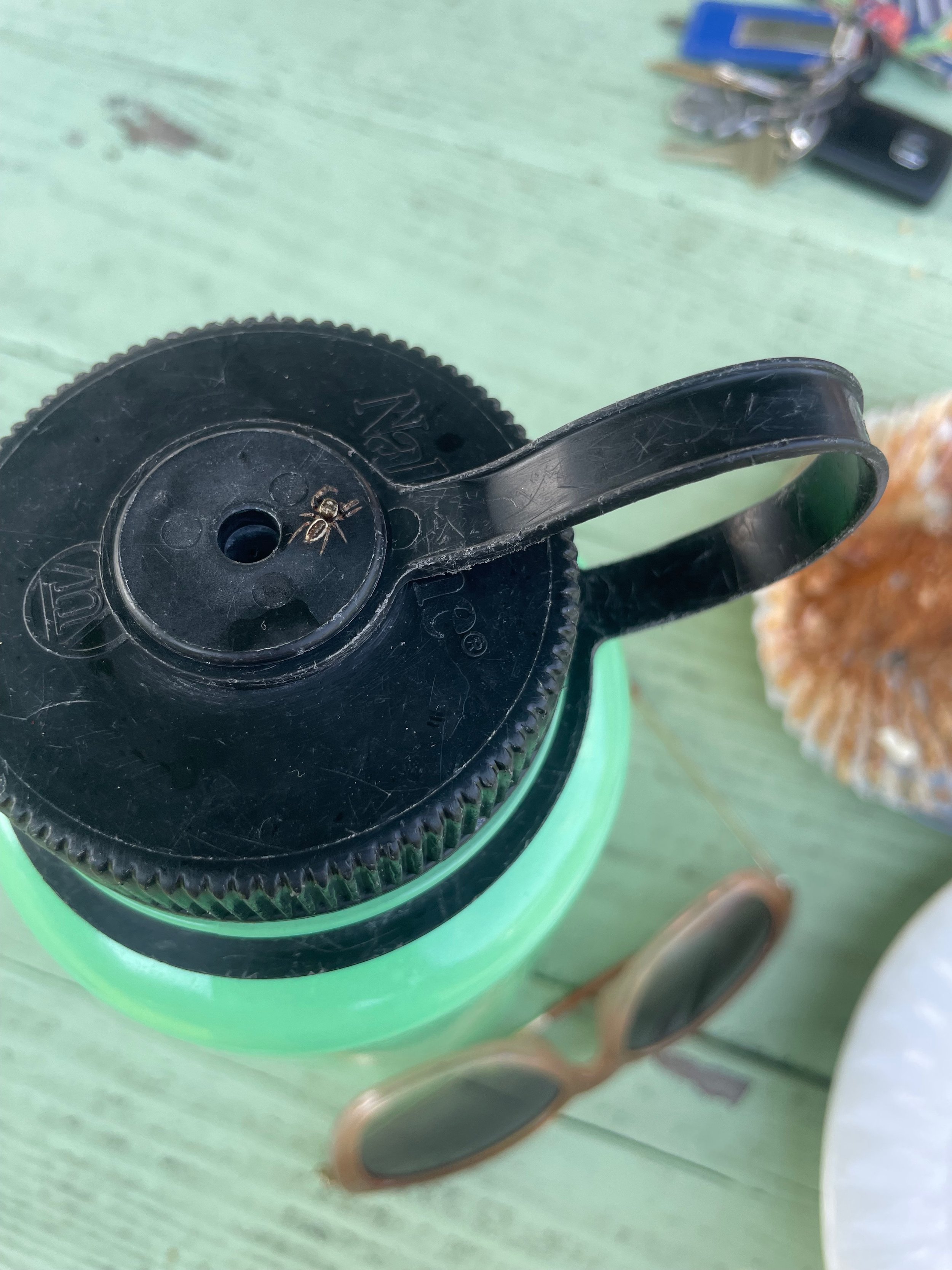 Weaving Our Witchy Web