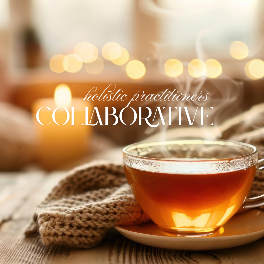 Holistic Practitioners Collaborative Meeting