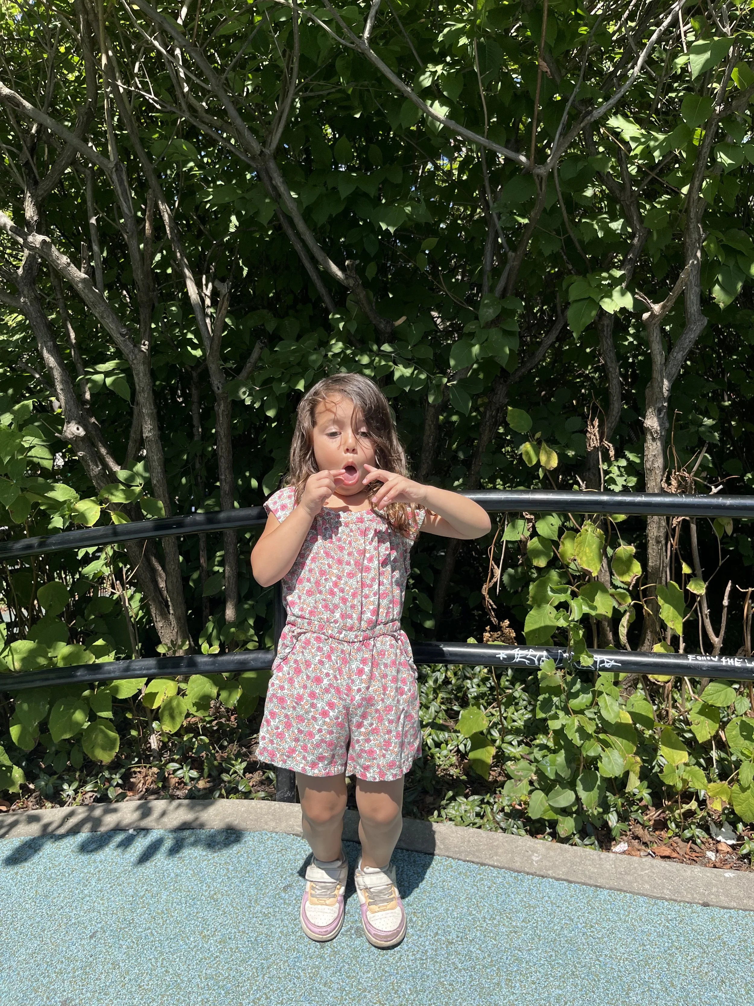 IMG_1252.jpeg