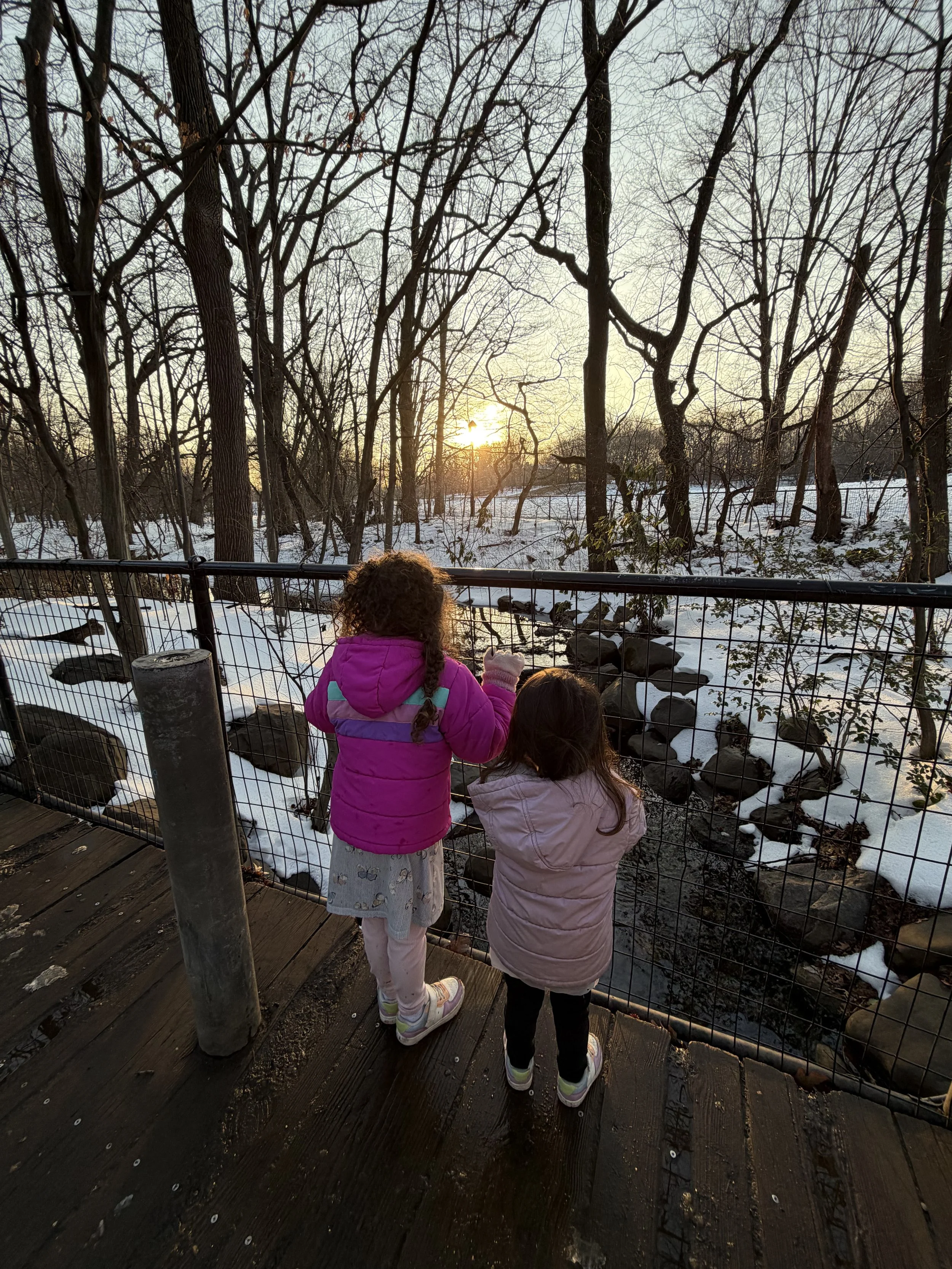 The Slow Work of Winter