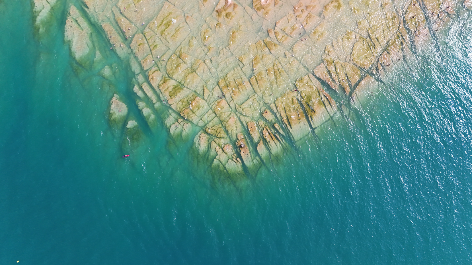 Képernyőkép 2025-08-14 182312.png