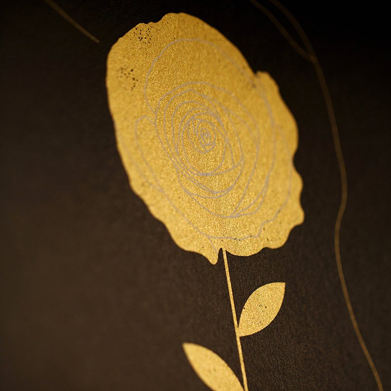 04_pbrodericksirius_closeup.jpg