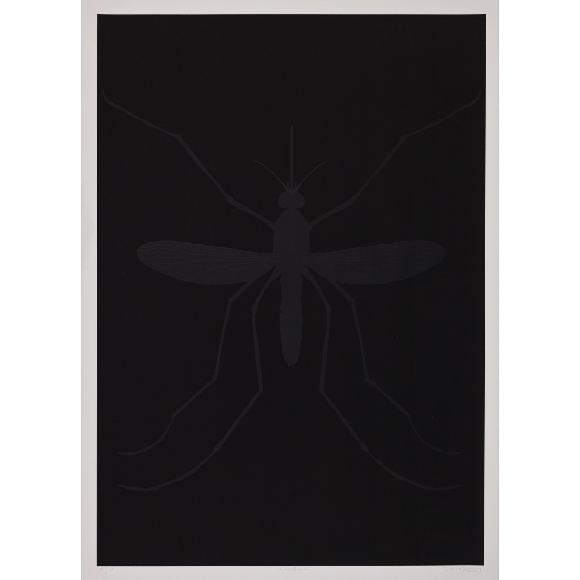 01_wingform_square.jpg