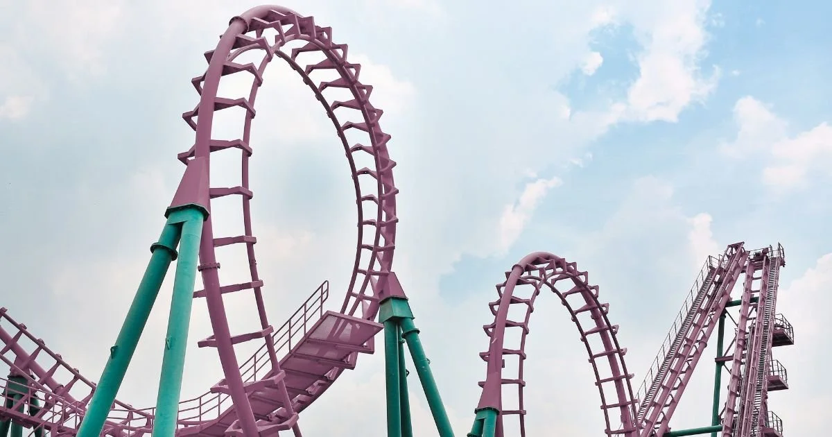 One Ticket to the Corporate Rollercoaster, Please