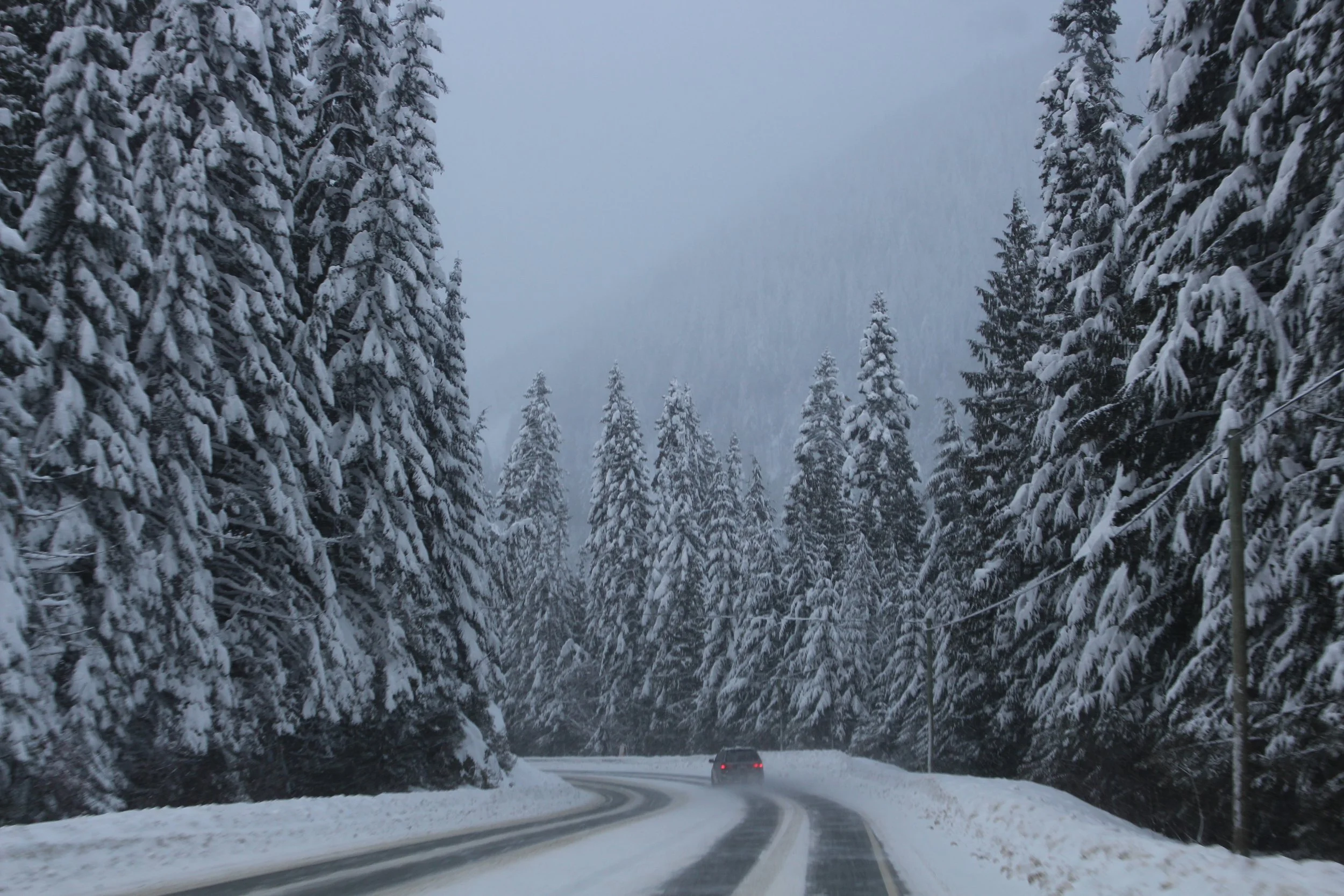Snowy road lined with snow capped pine trees in British Colombia Dec 2017