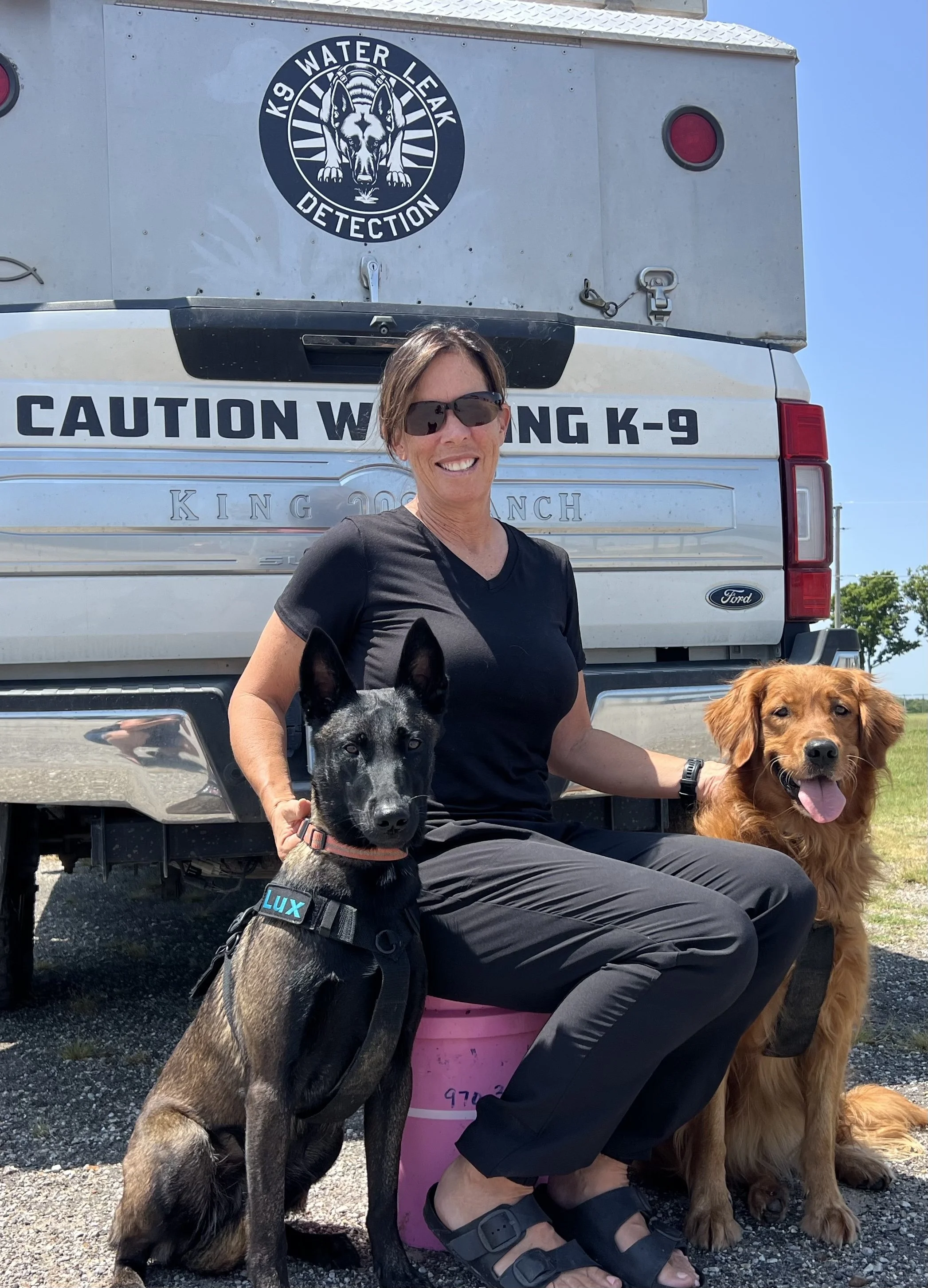 A woman holding 2 large, brown and black dogs near the water with canine truck background.