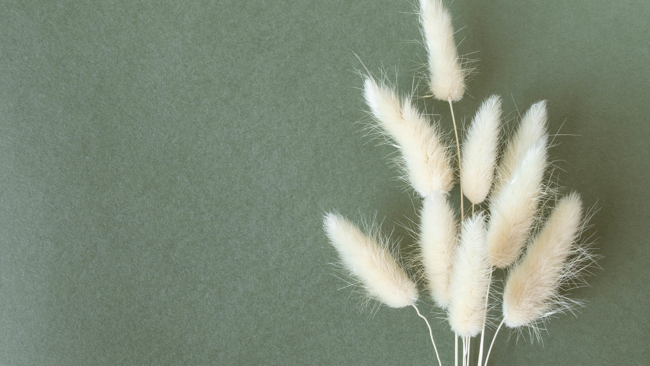 Is a Projector Destined for Success? Redefining Success and Calling in Abundance