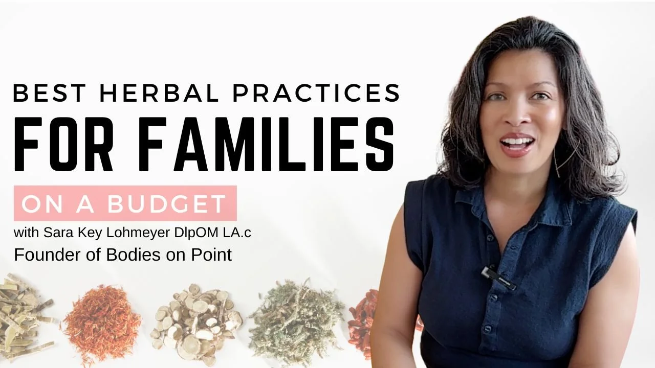 Herbs For Families on a Budget