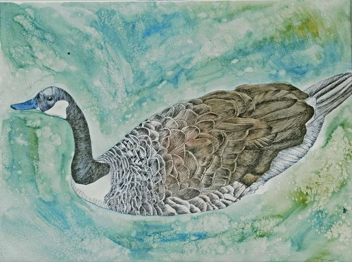 watercolor goose.jpg