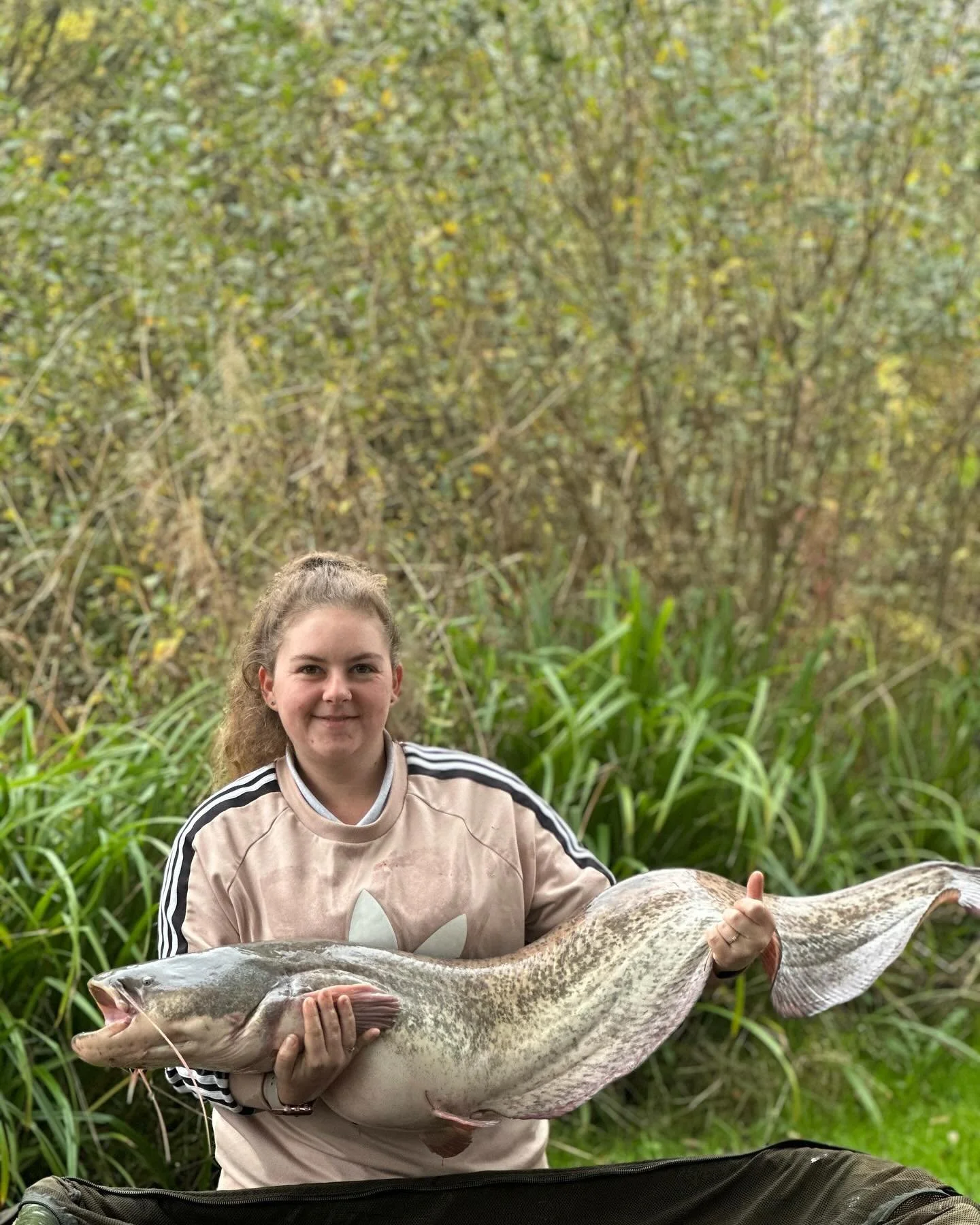 24 1/2lb catfish caught on our new untested flavour 👏🏻💪🏻🎣🎣