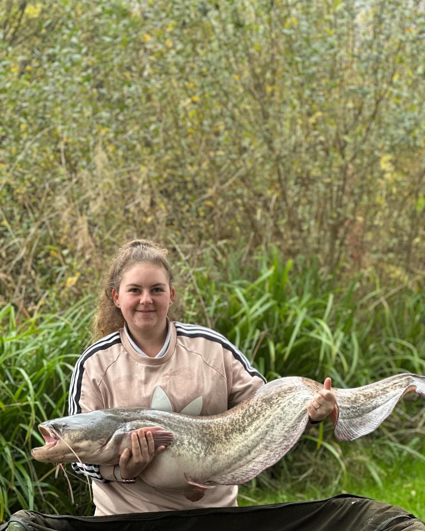 24 1/2lb catfish caught on our new untested flavour 👏🏻💪🏻🎣🎣