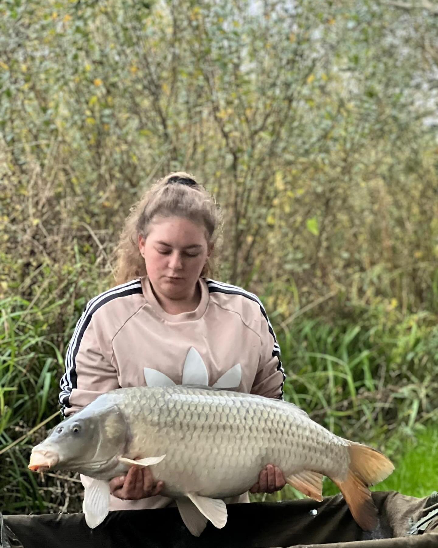 Another stunning ghosty common weighing 24lb on our yummy chocolate boilie 👏🏻👏🏻🎣🎣🎣🎣