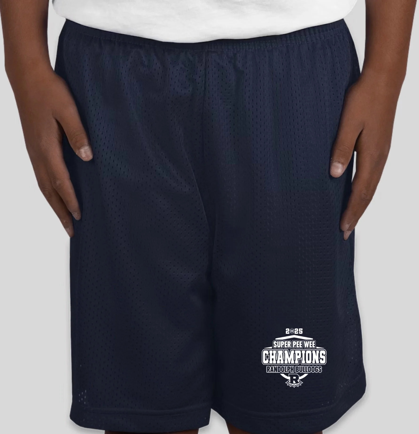 Champion Mesh Shorts