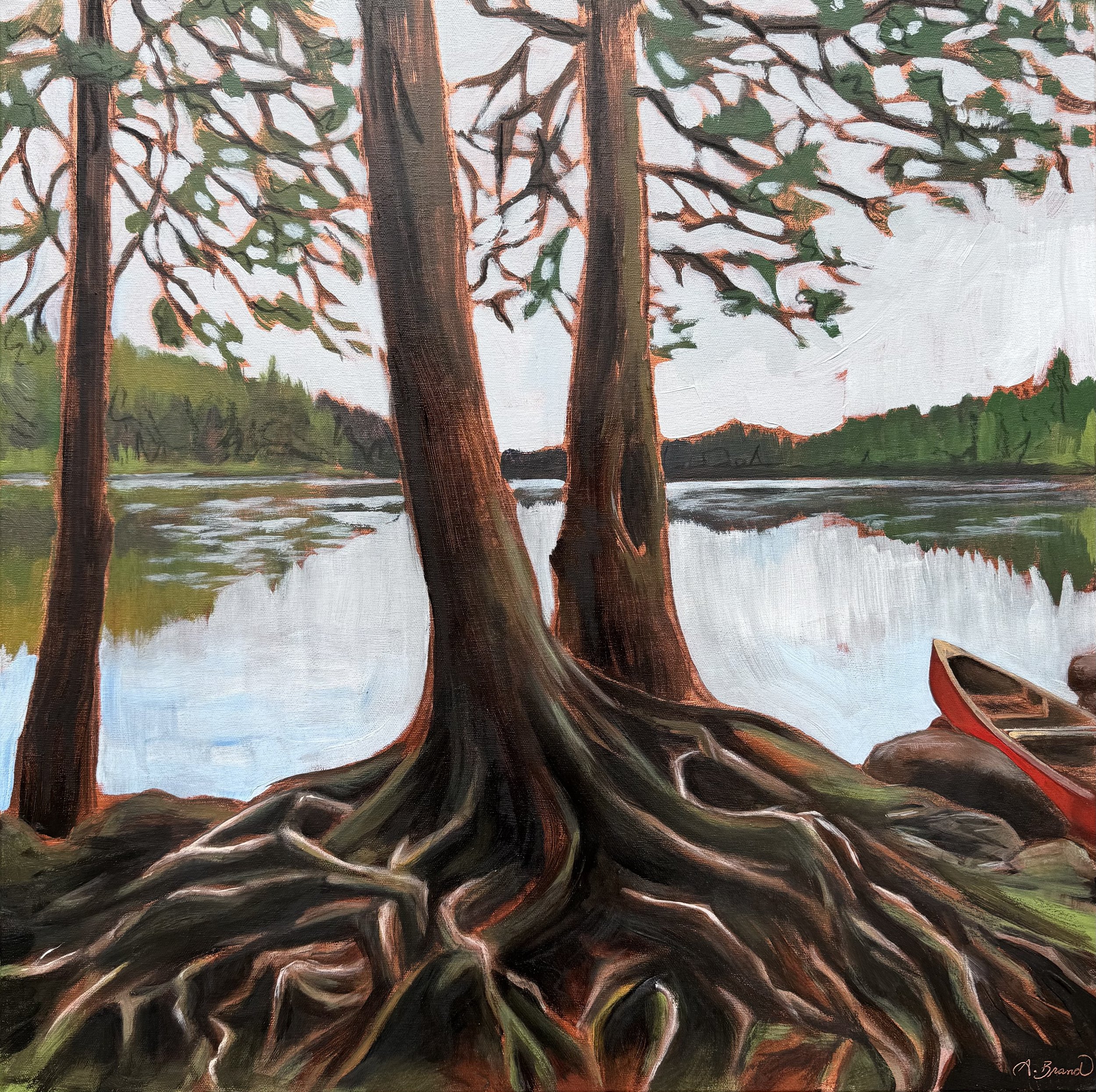 Rooted, 2026, Acrylic & charcoal on canvas, 24" x 24"