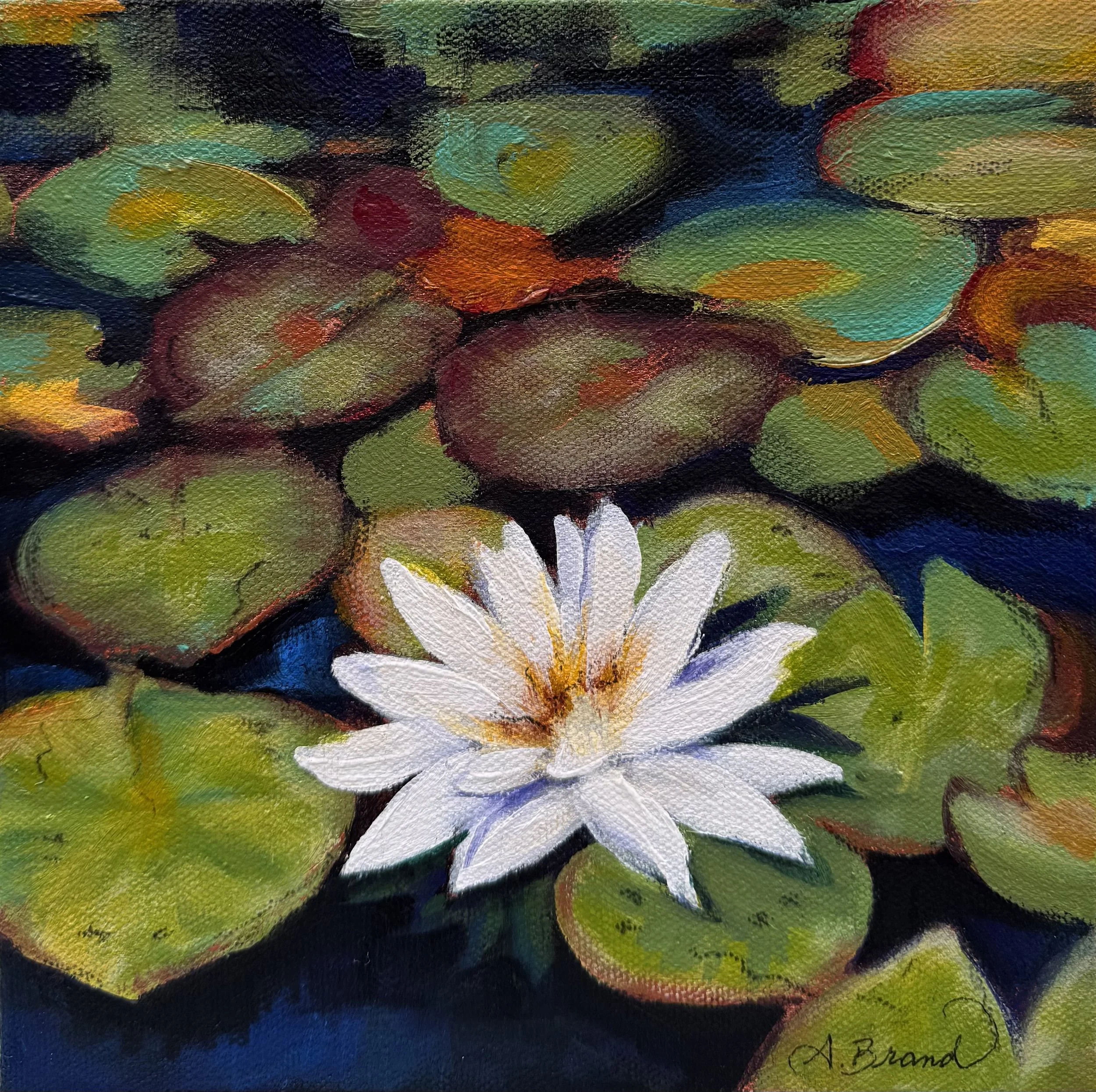 Water Lily,  2026
