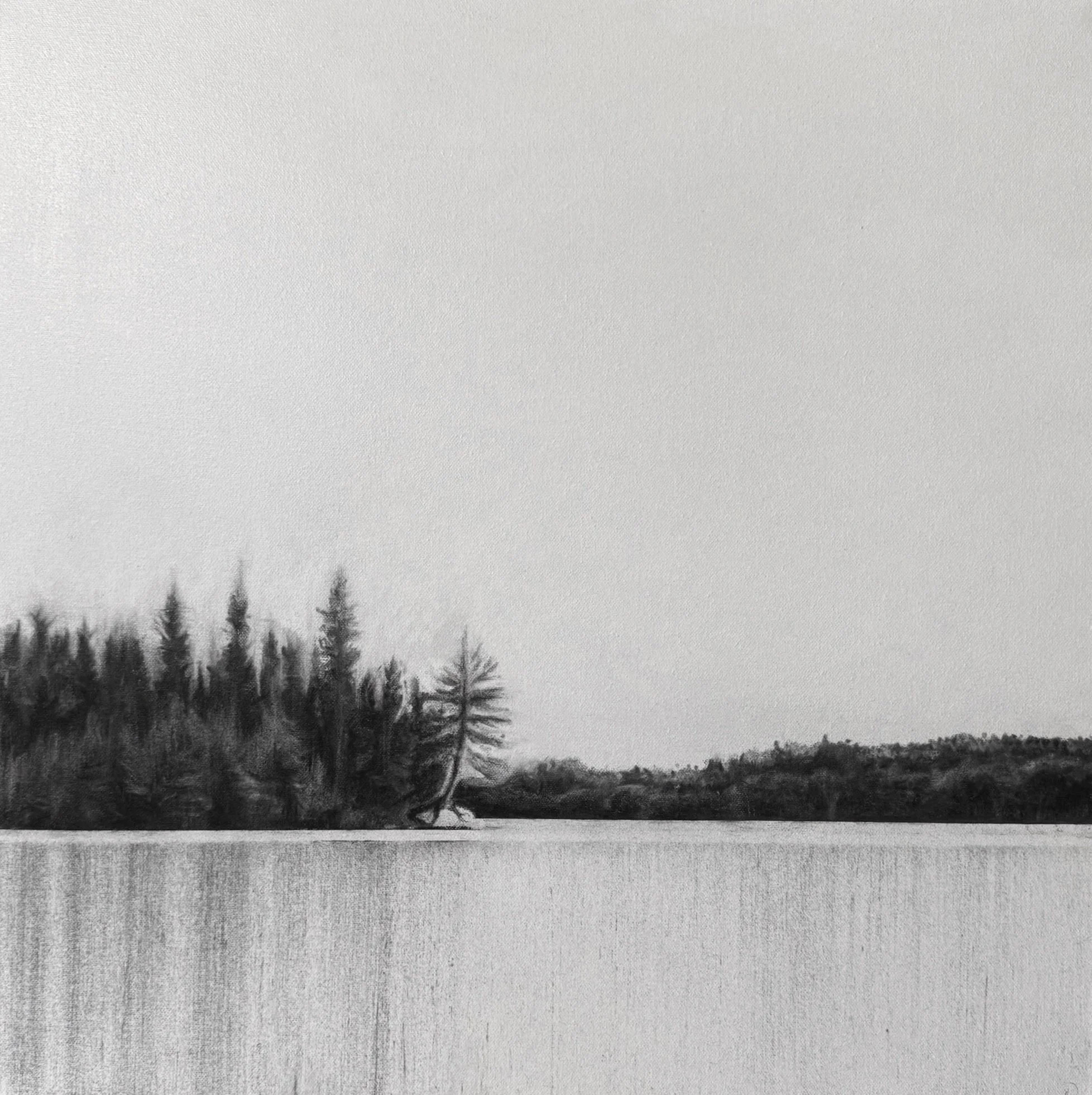 Algonquin View, 2025