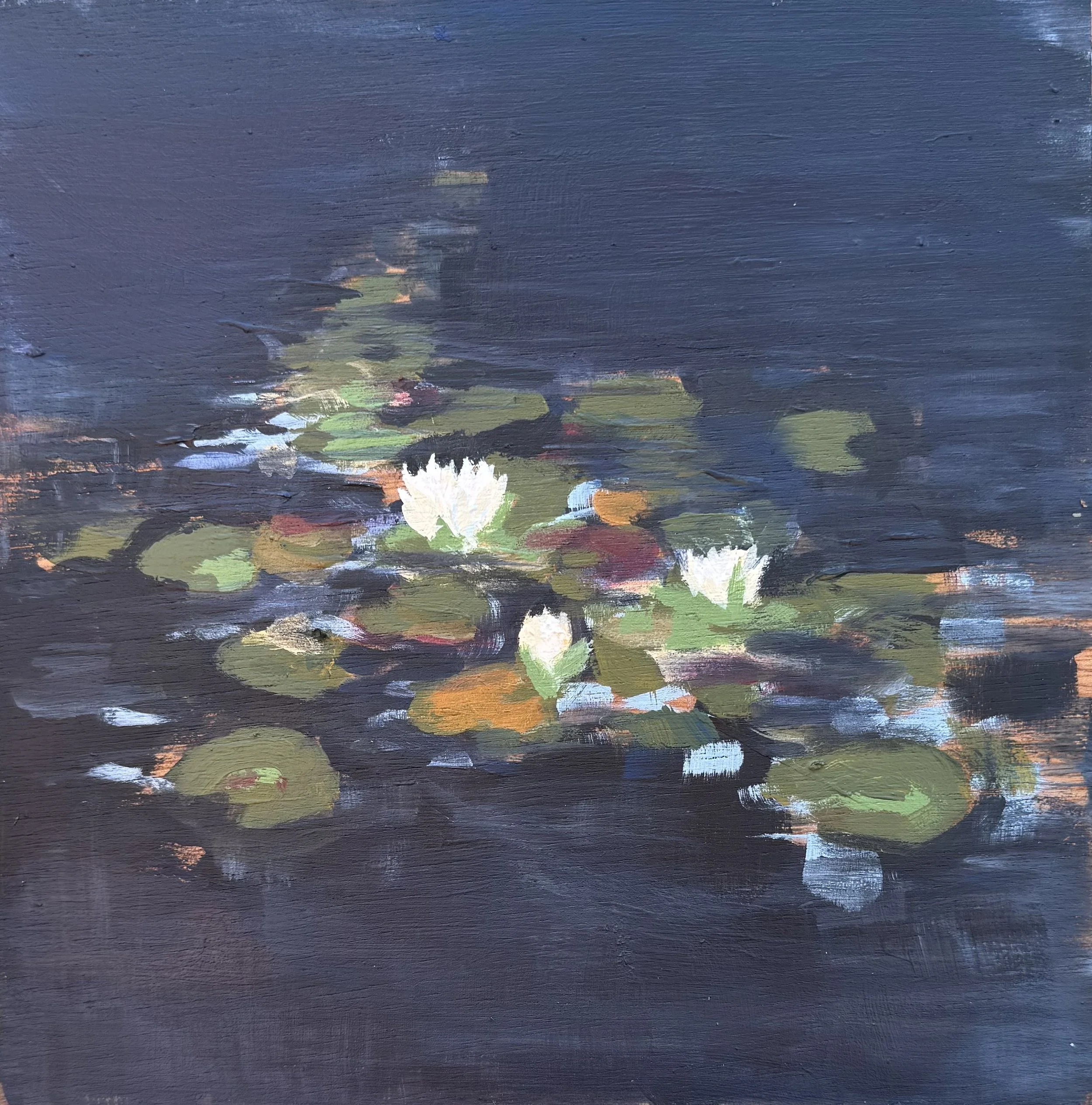 Water Lilies on Norway Lake,  2026