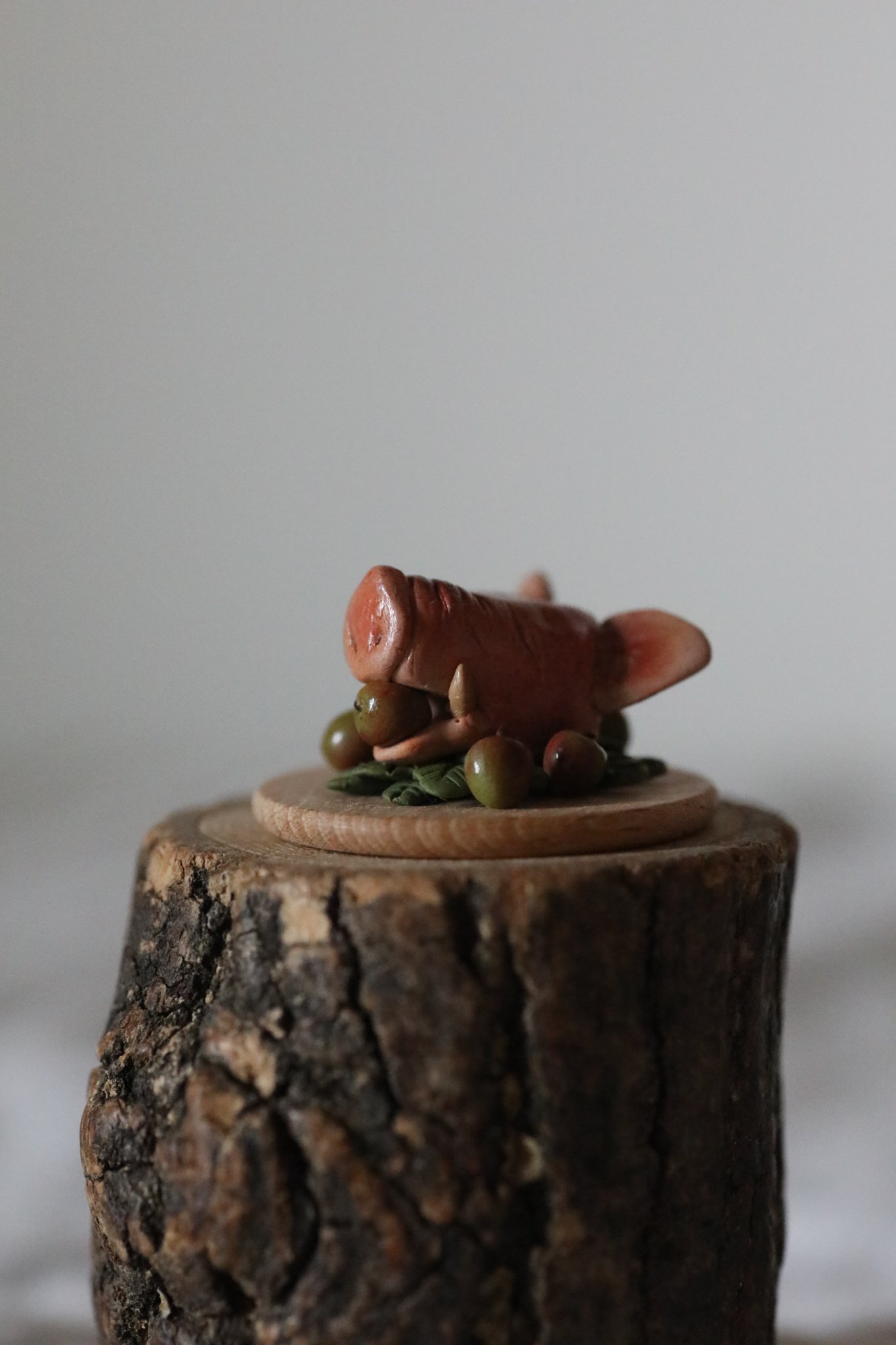 FW25-045boar.jpg