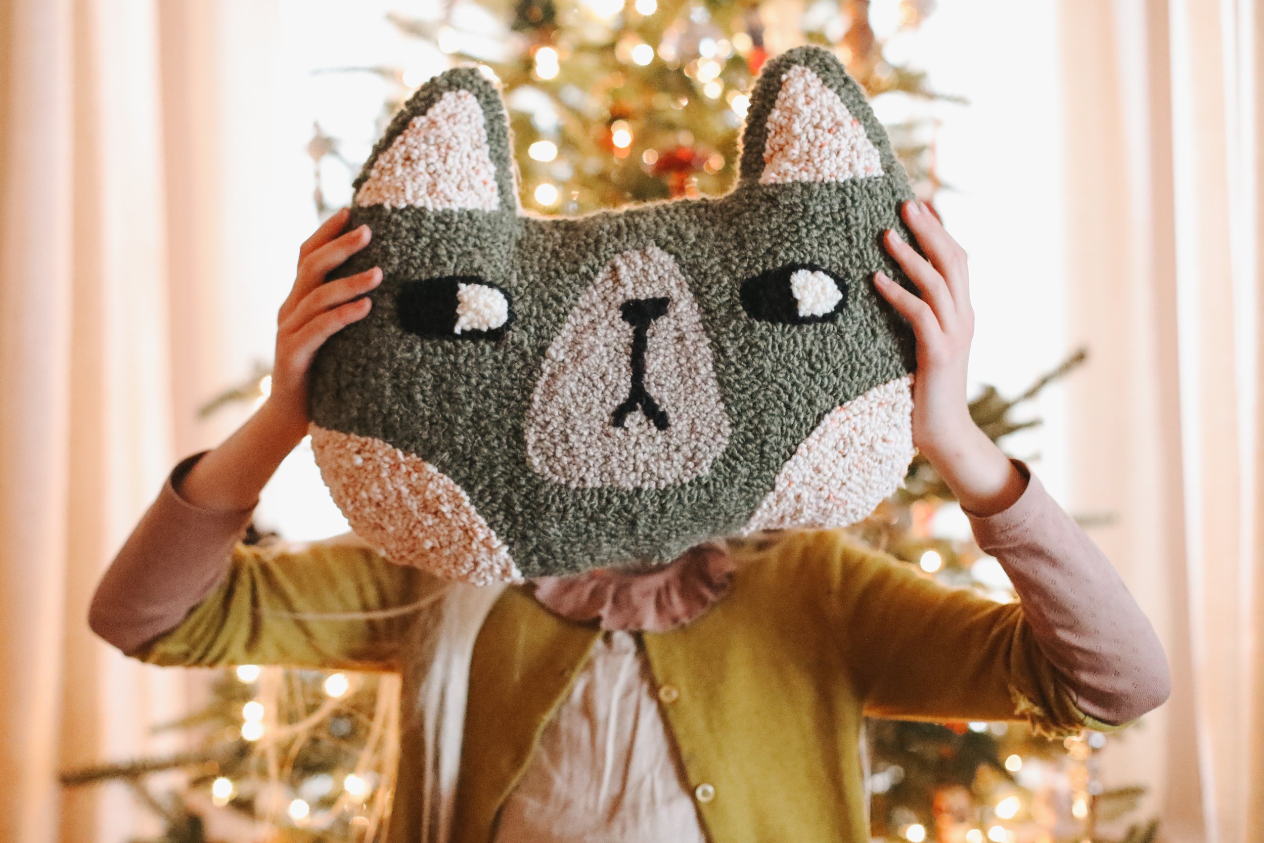 FW25-140mauricecatpillow.jpg