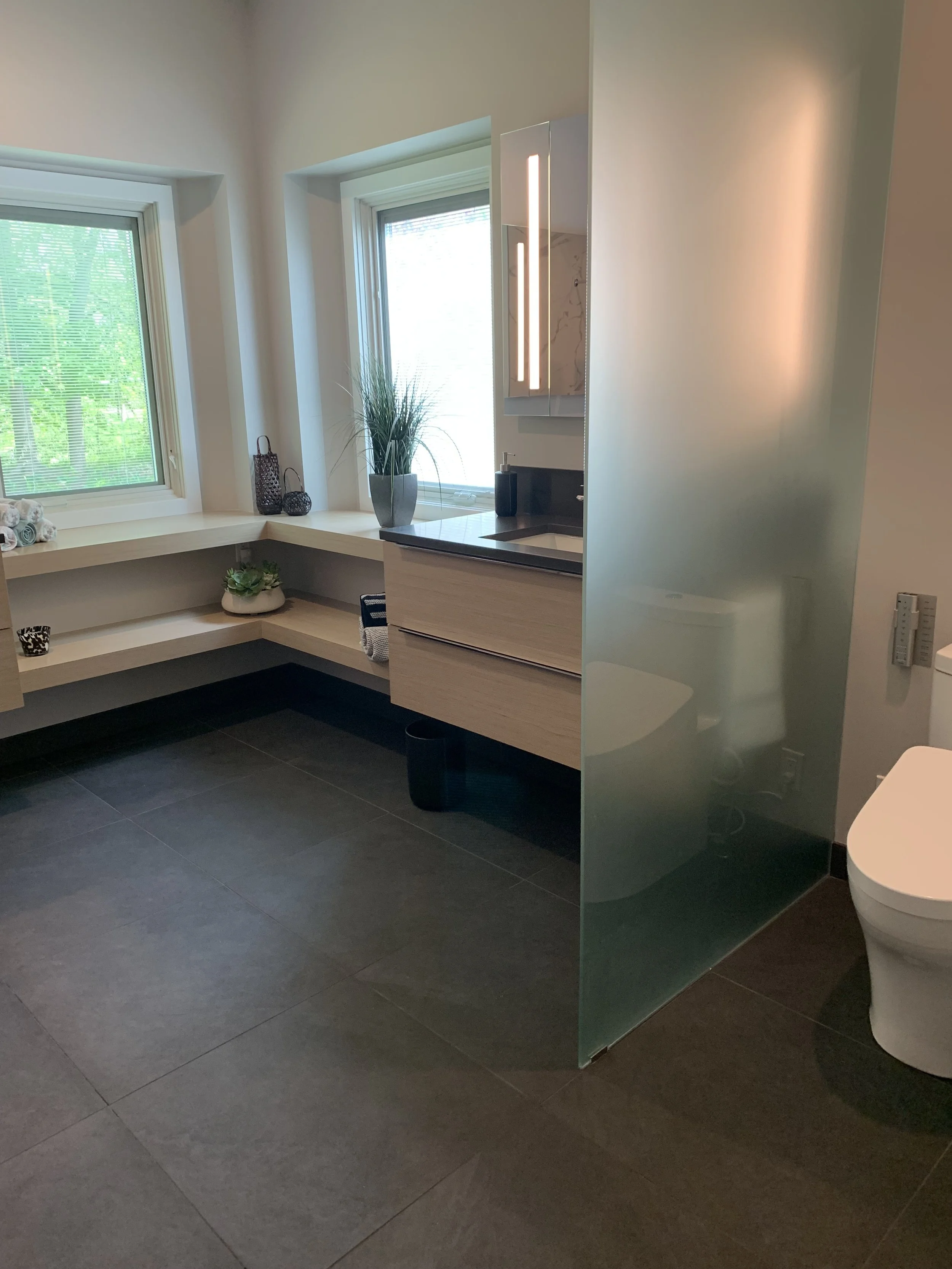 Ann Arbor modern bath remodel