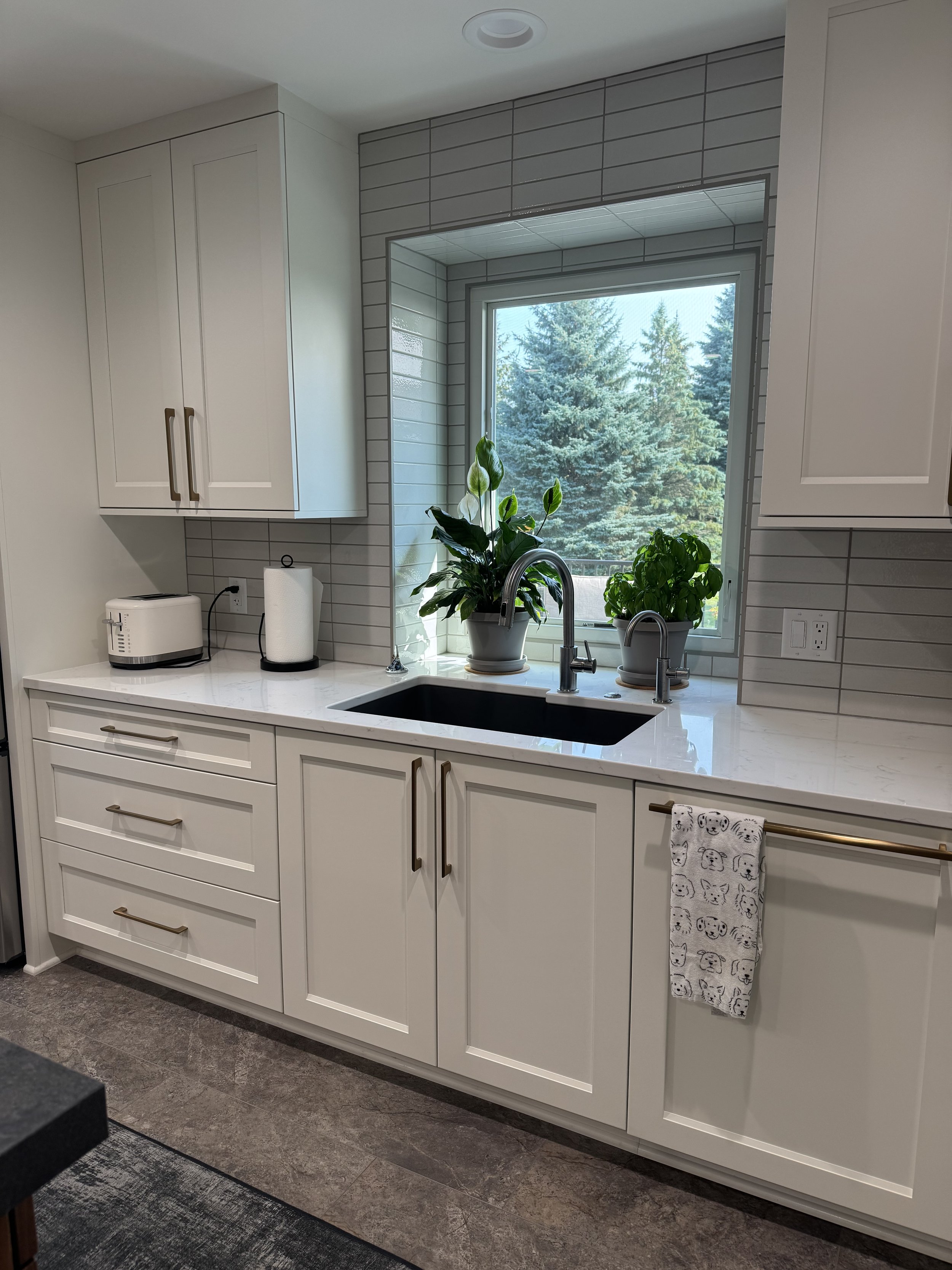 Ann Arbor kitchen remodel