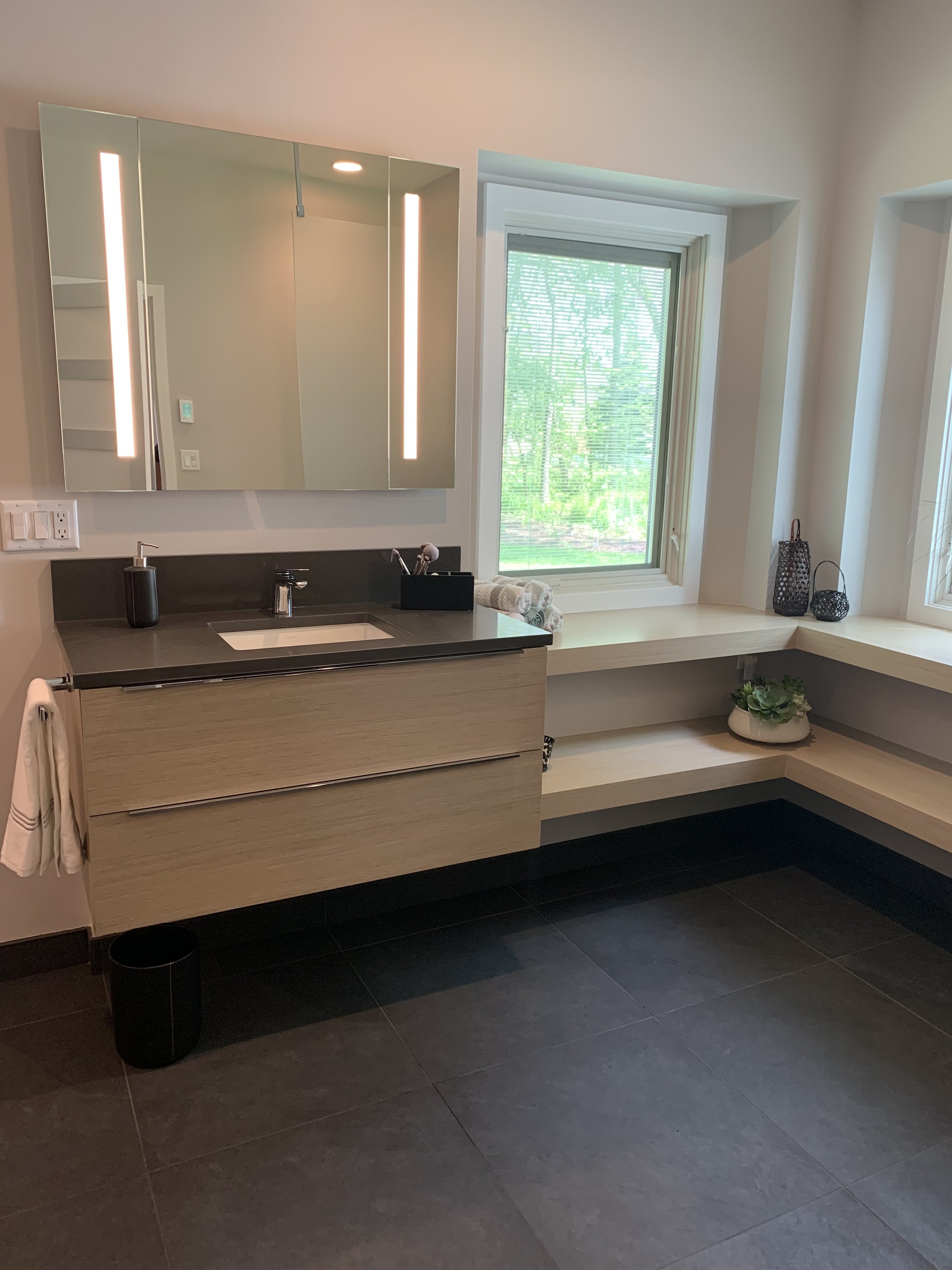 Ann Arbor modern bath remodel