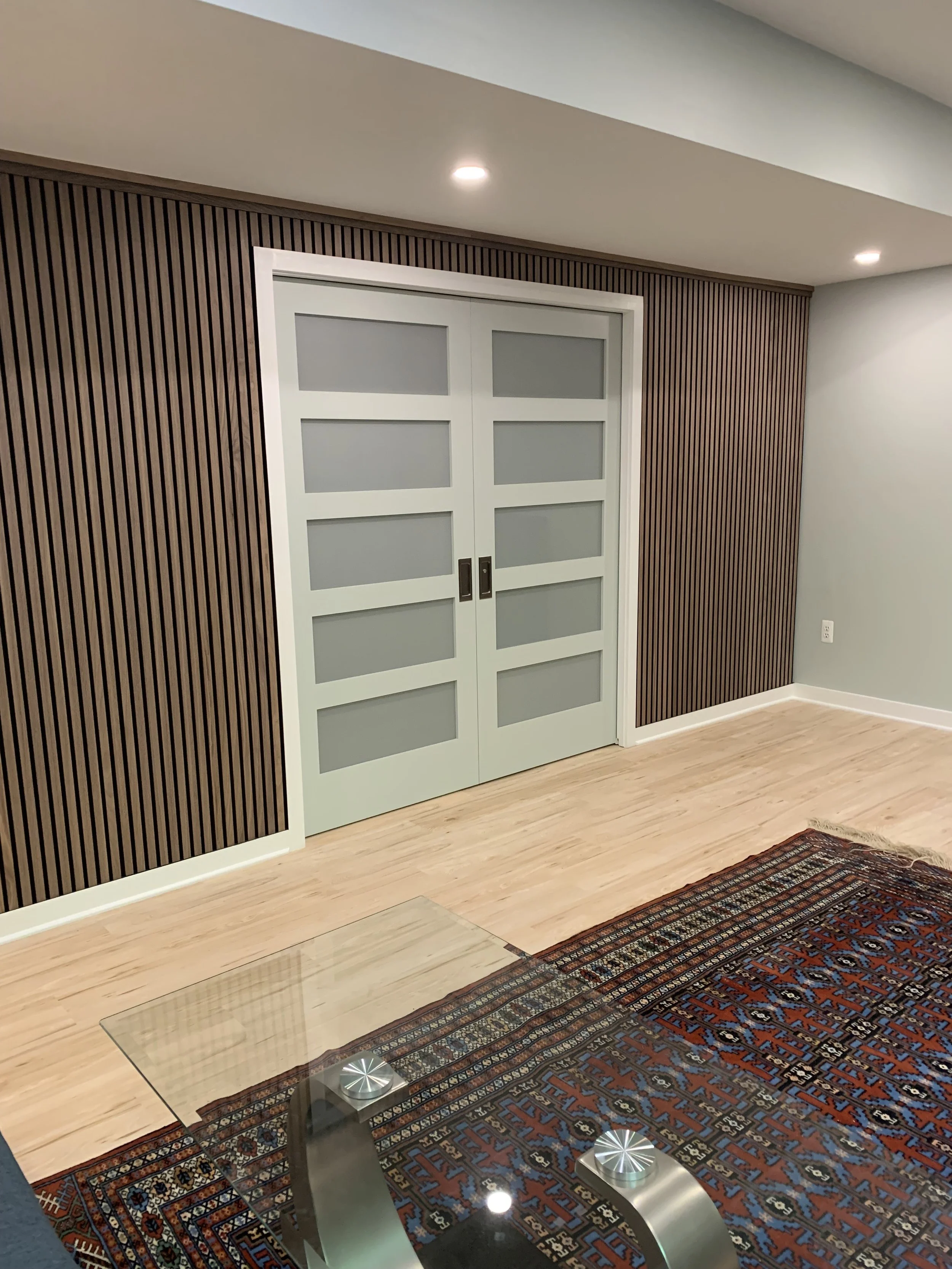 Modern pocket doors, basement remodel, Ann Arbor