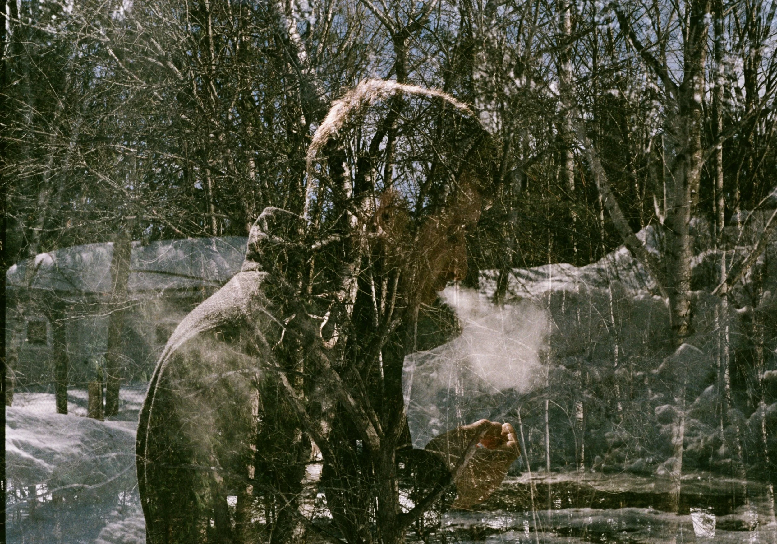 Andrew - Fredericton, NB