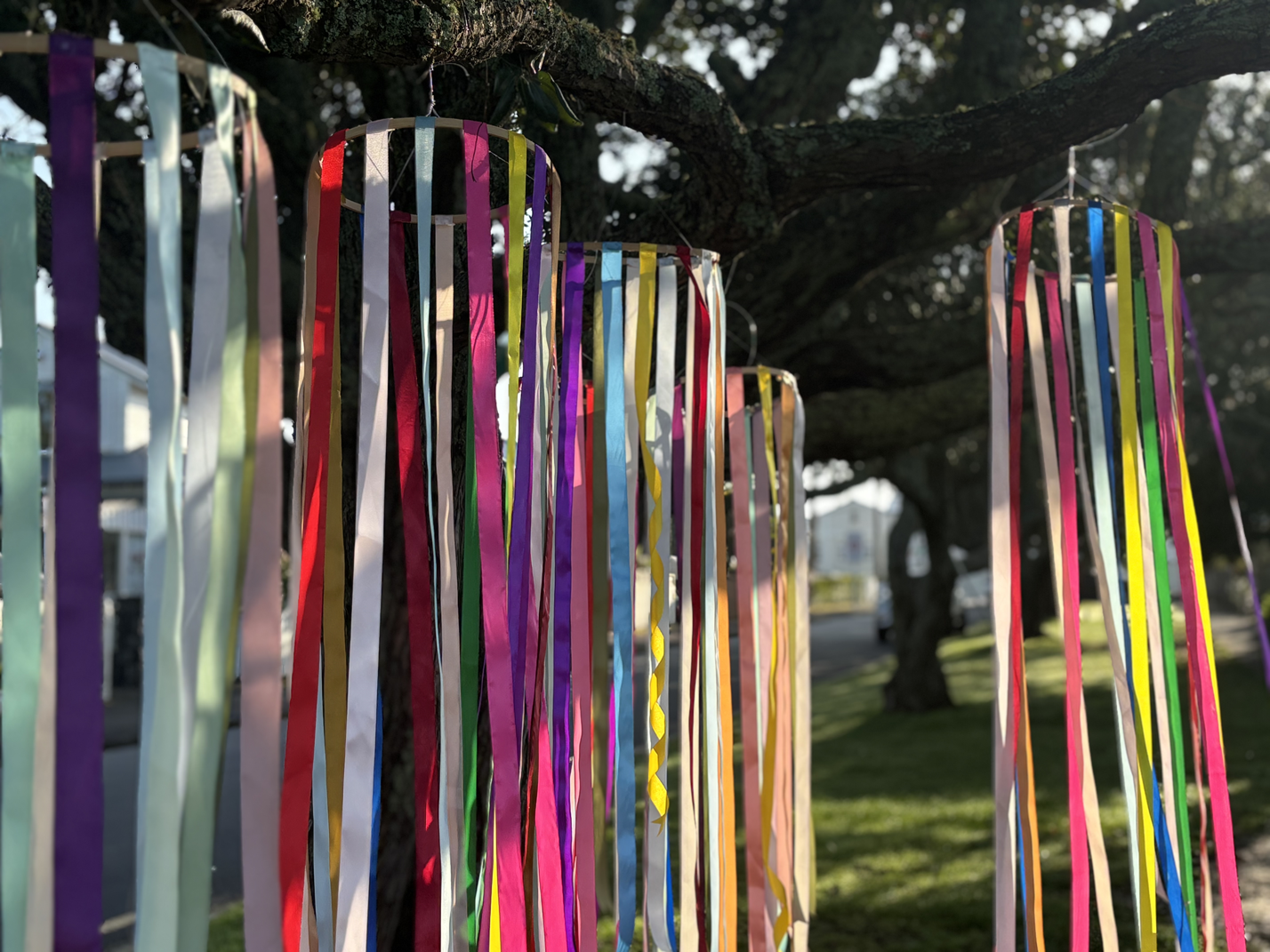 Colorful paper lanterns with hanging ribbons are attached to a tree branch outdoors in the sunlight.