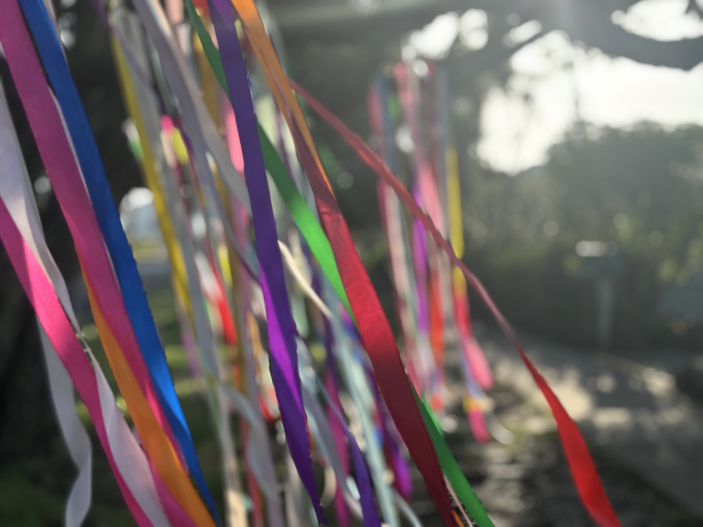Colorful ribbons hanging outdoors with trees and sunlight in the background.