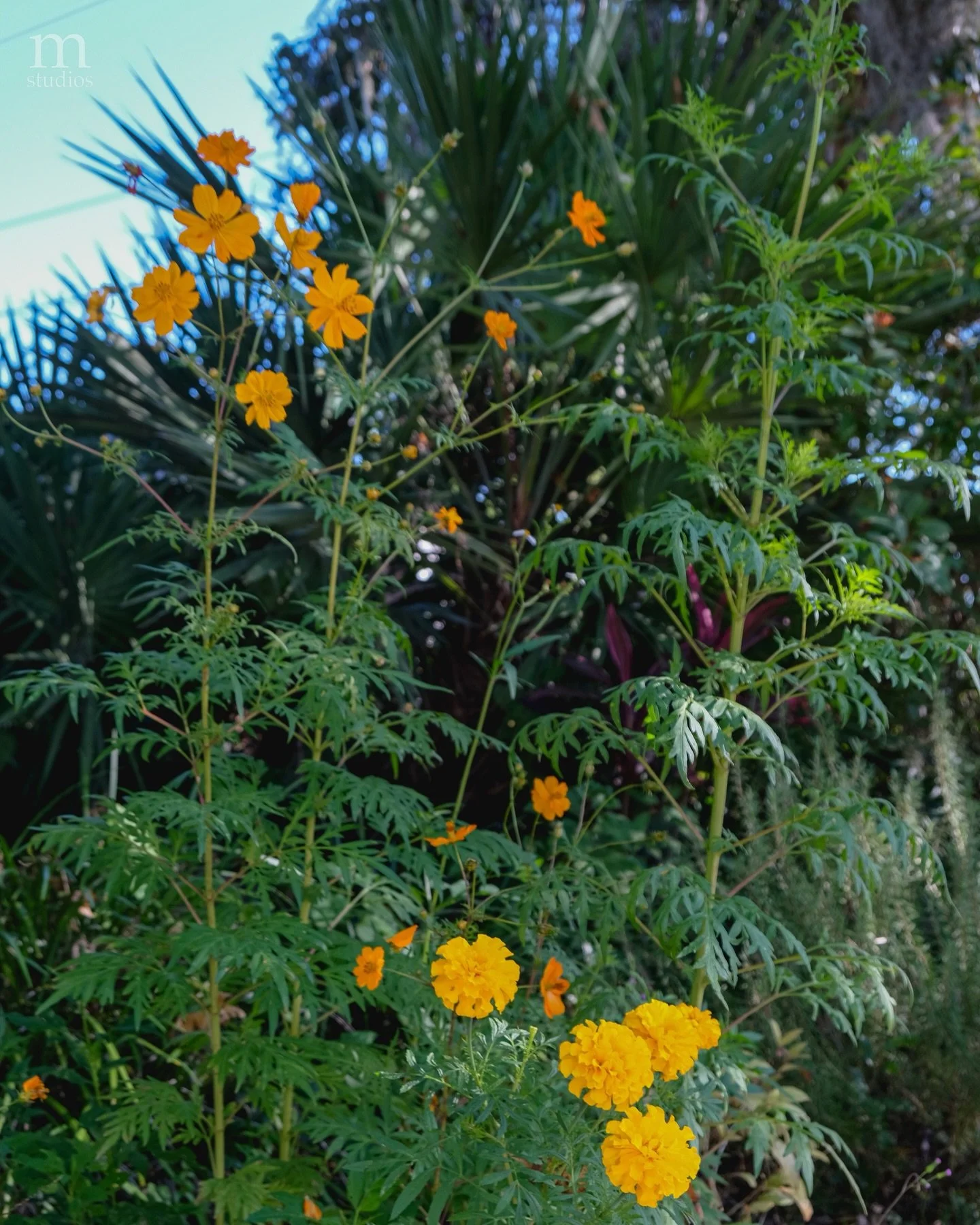 scrapbook entry 12/21