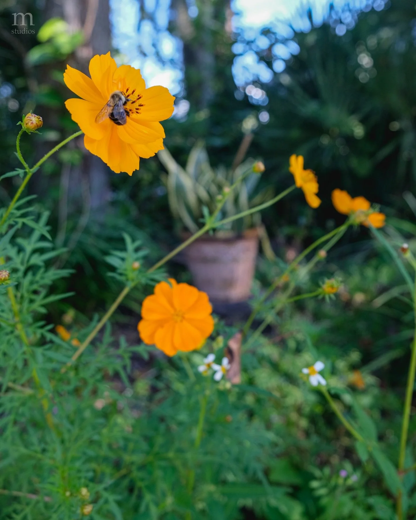 scrapbook entry &mdash; feb. 2